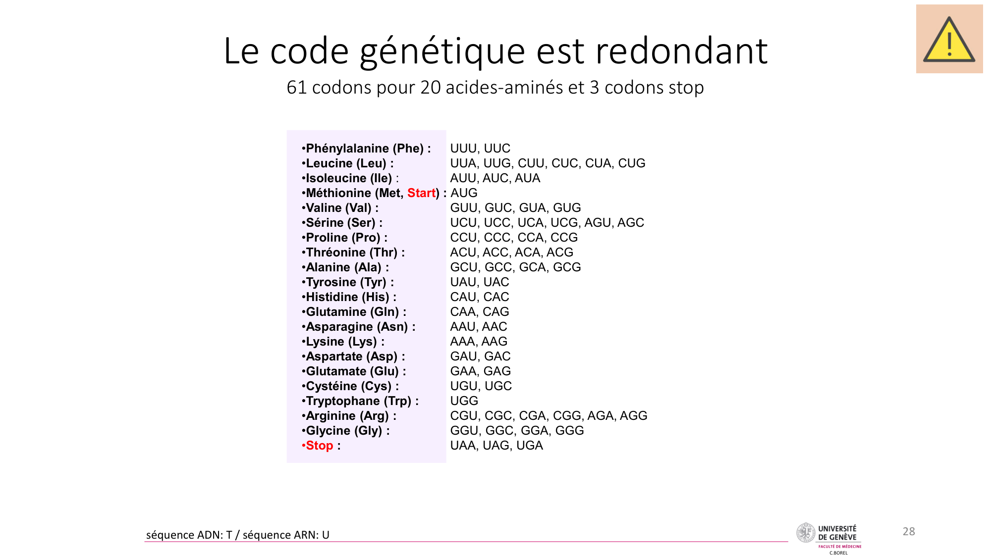 Génétique humaine — session 3 page 28