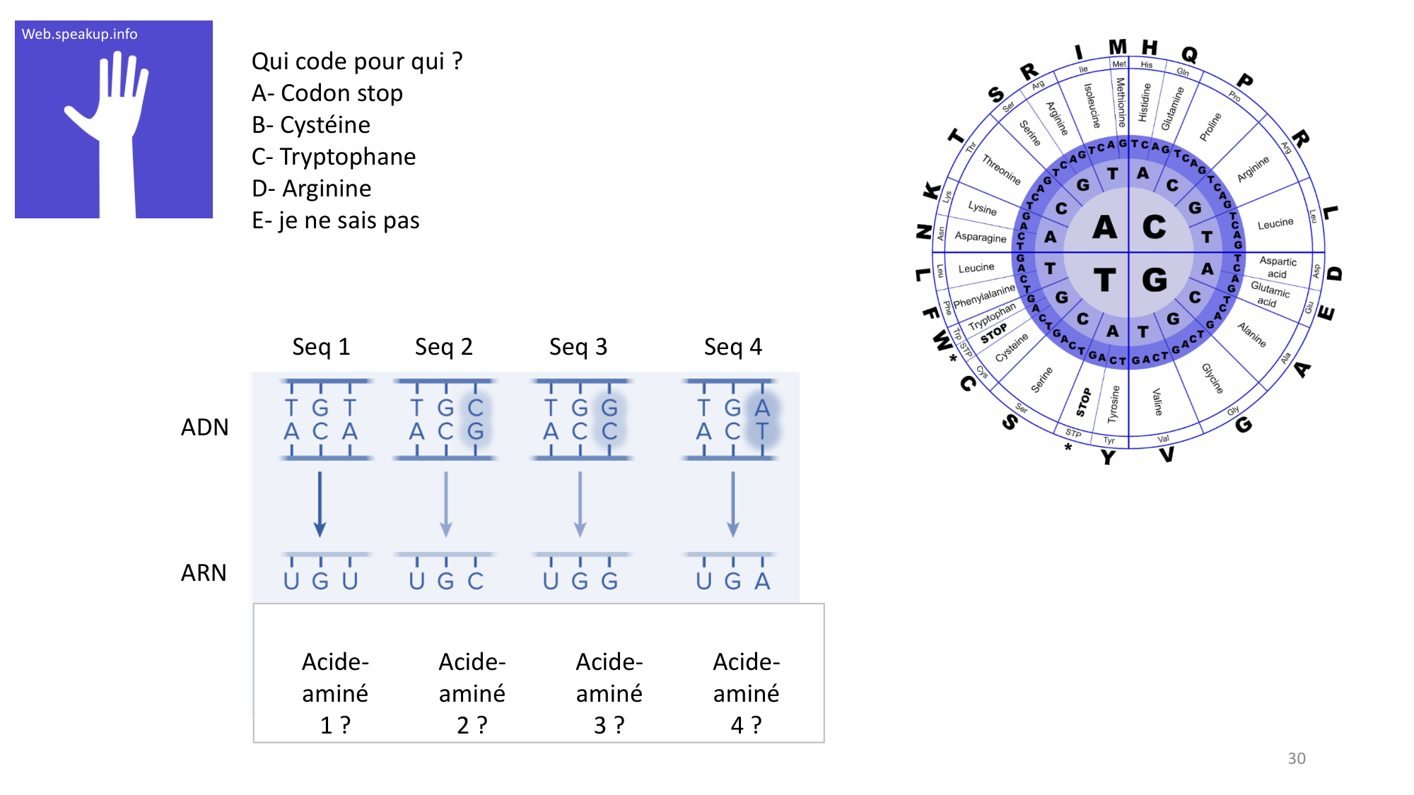 Génétique humaine — session 3 page 30