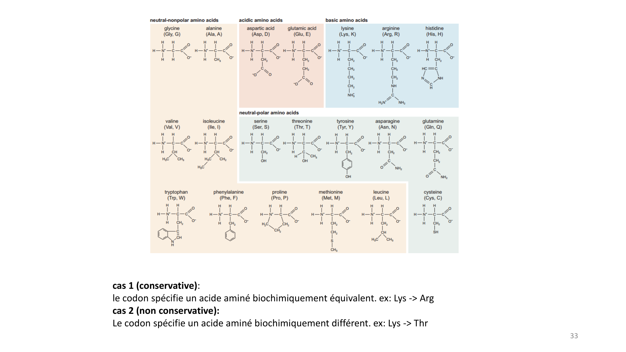 Génétique humaine — session 3 page 33