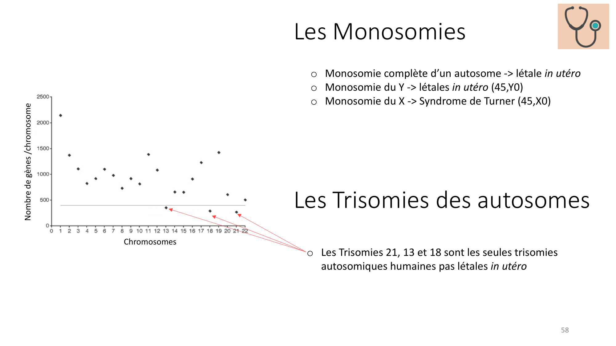 Génétique humaine — session 3 page 58
