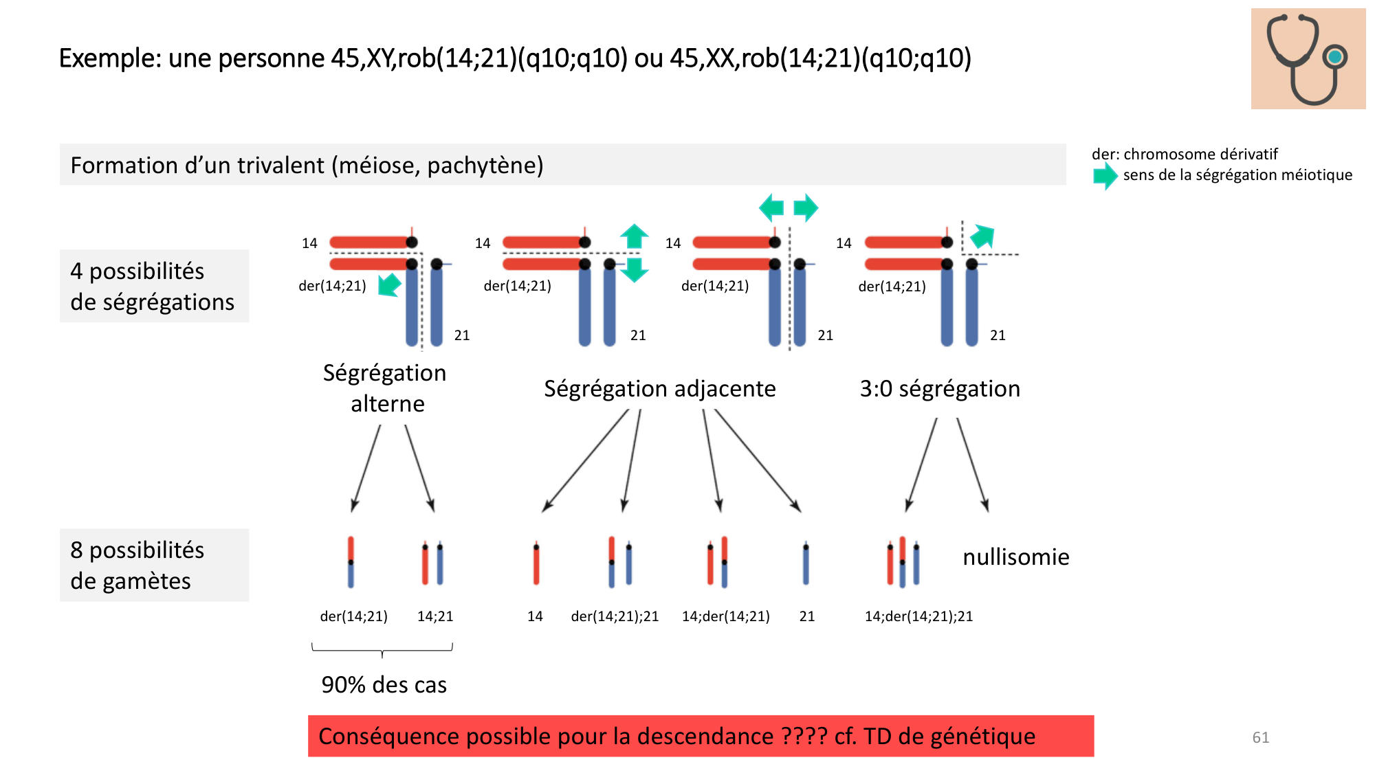Génétique humaine — session 3 page 61