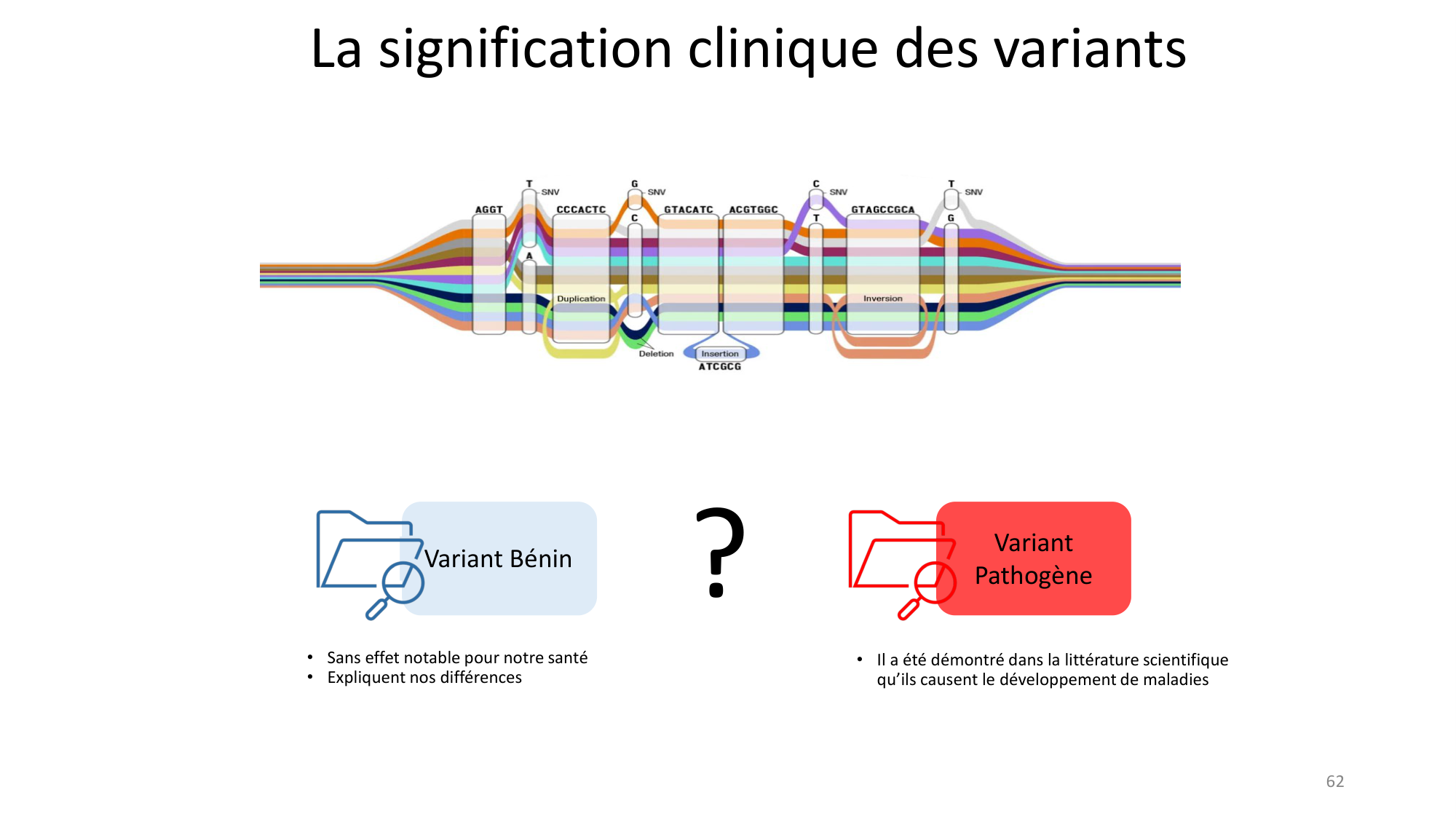 Génétique humaine — session 3 page 62