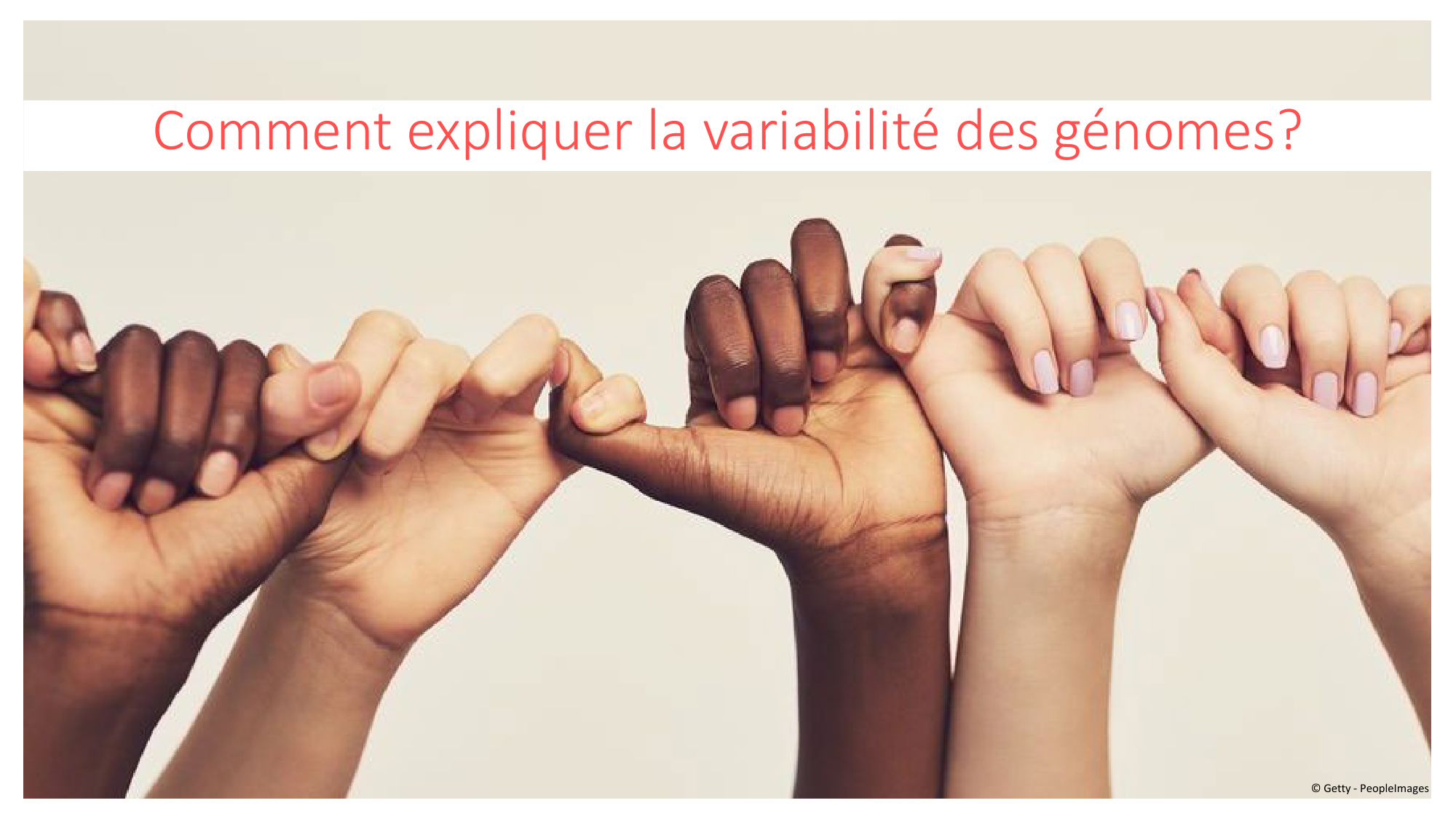 Génétique humaine — session 4 page 5