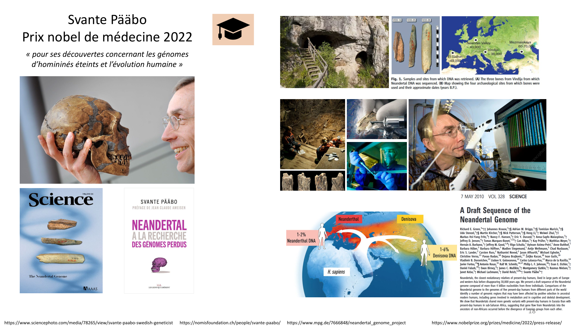 Génétique humaine — session 4 page 18