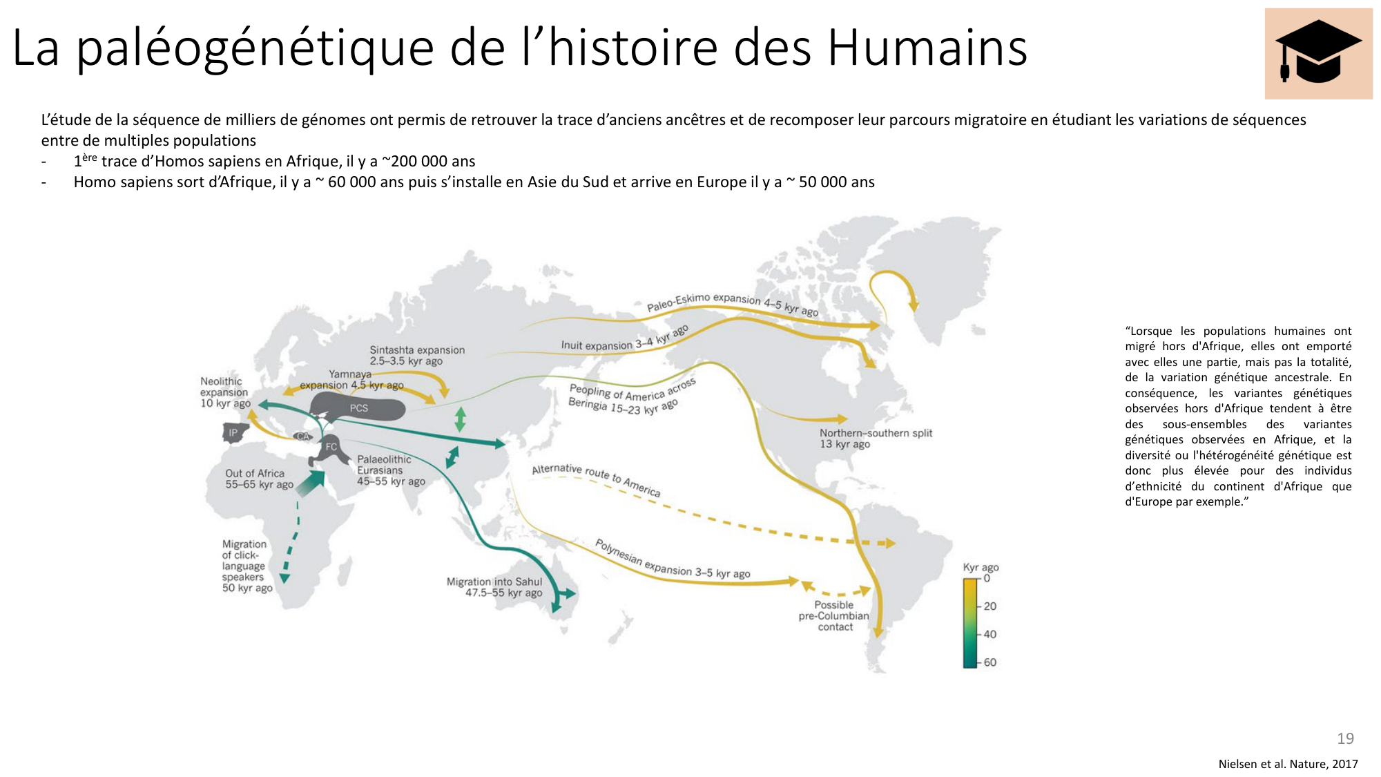 Génétique humaine — session 4 page 19