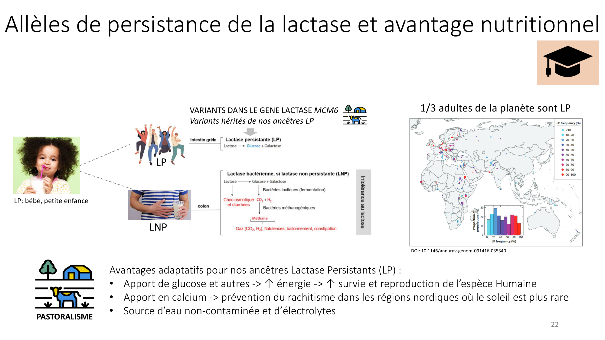 Génétique humaine — session 4 page 22