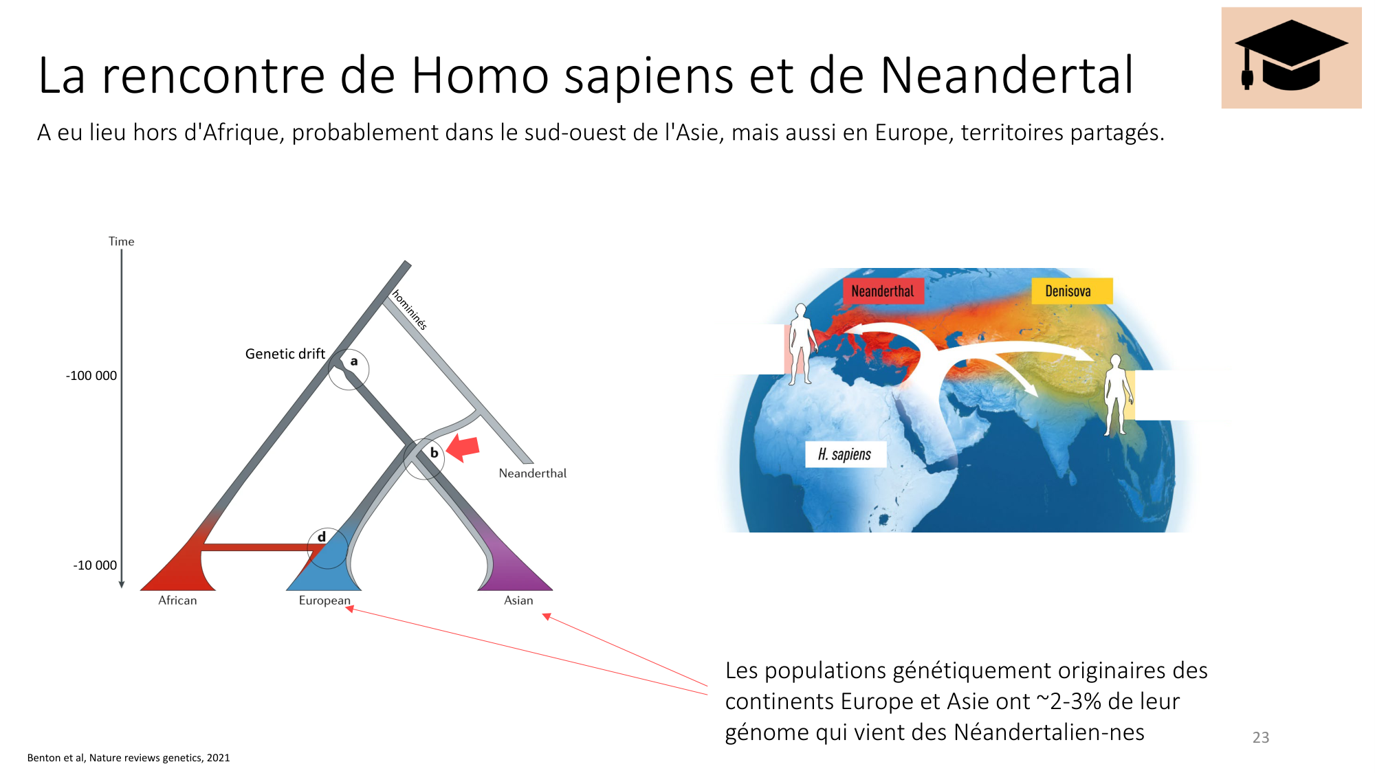 Génétique humaine — session 4 page 23
