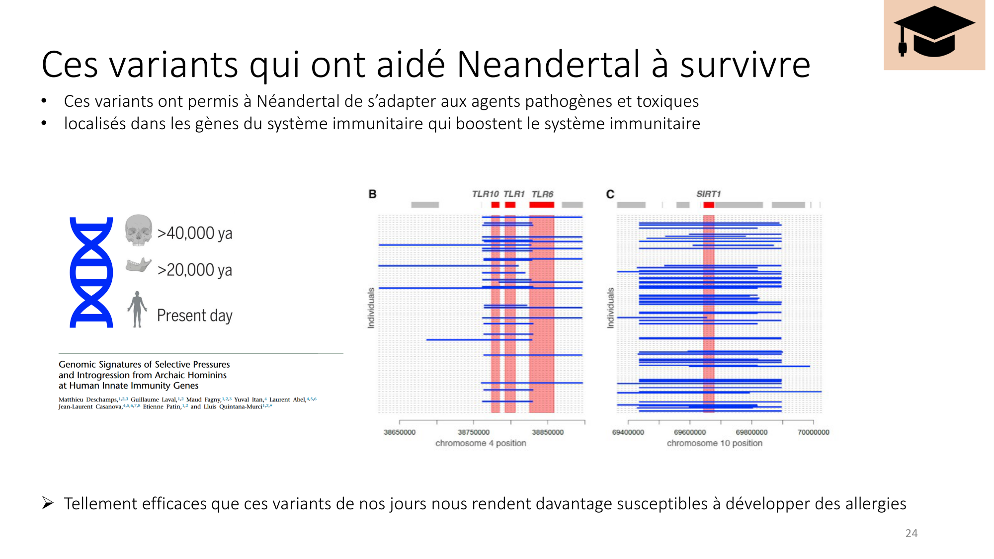 Génétique humaine — session 4 page 24