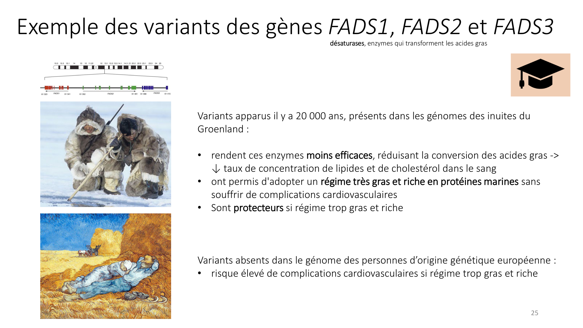 Génétique humaine — session 4 page 25