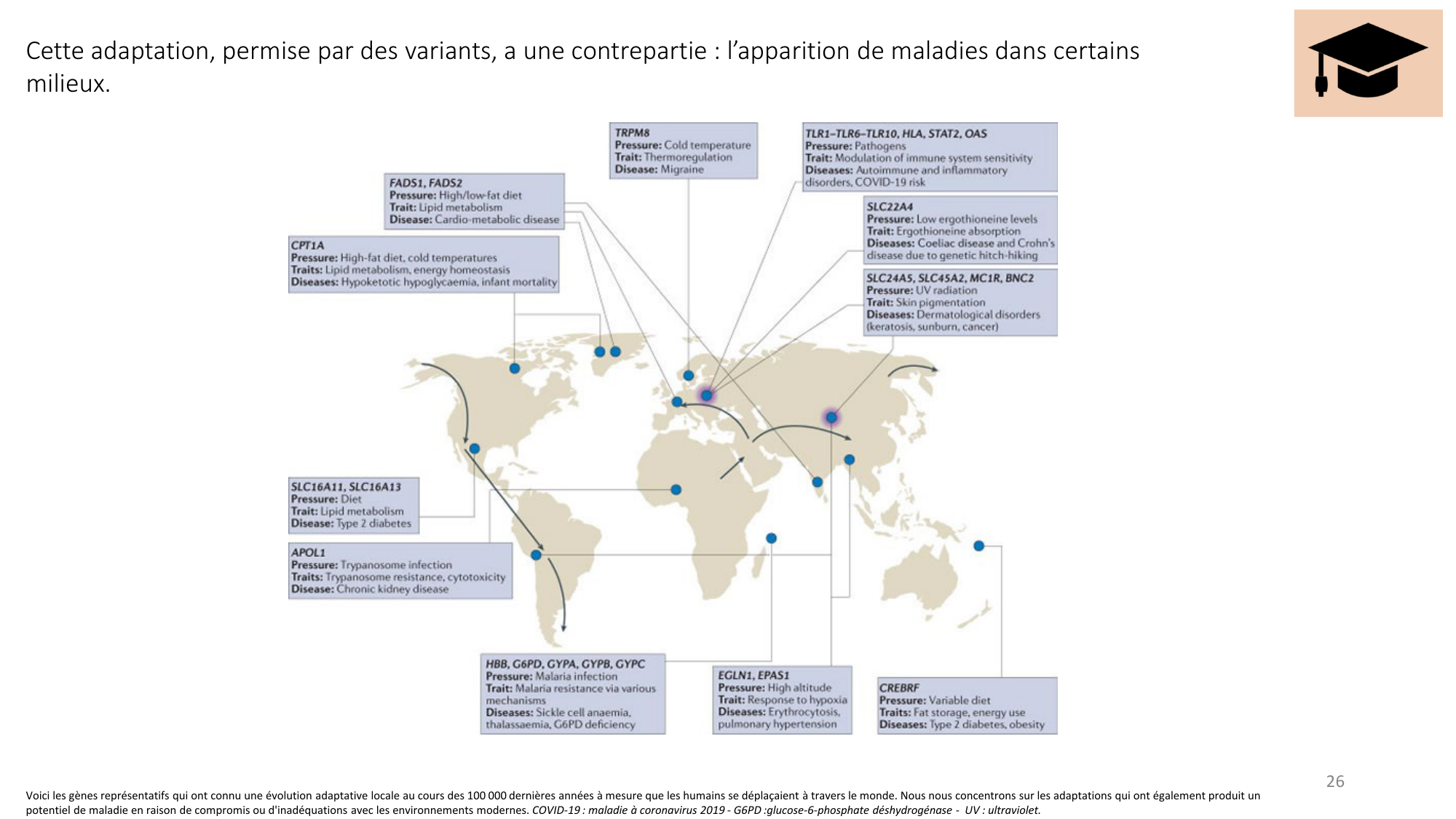 Génétique humaine — session 4 page 26