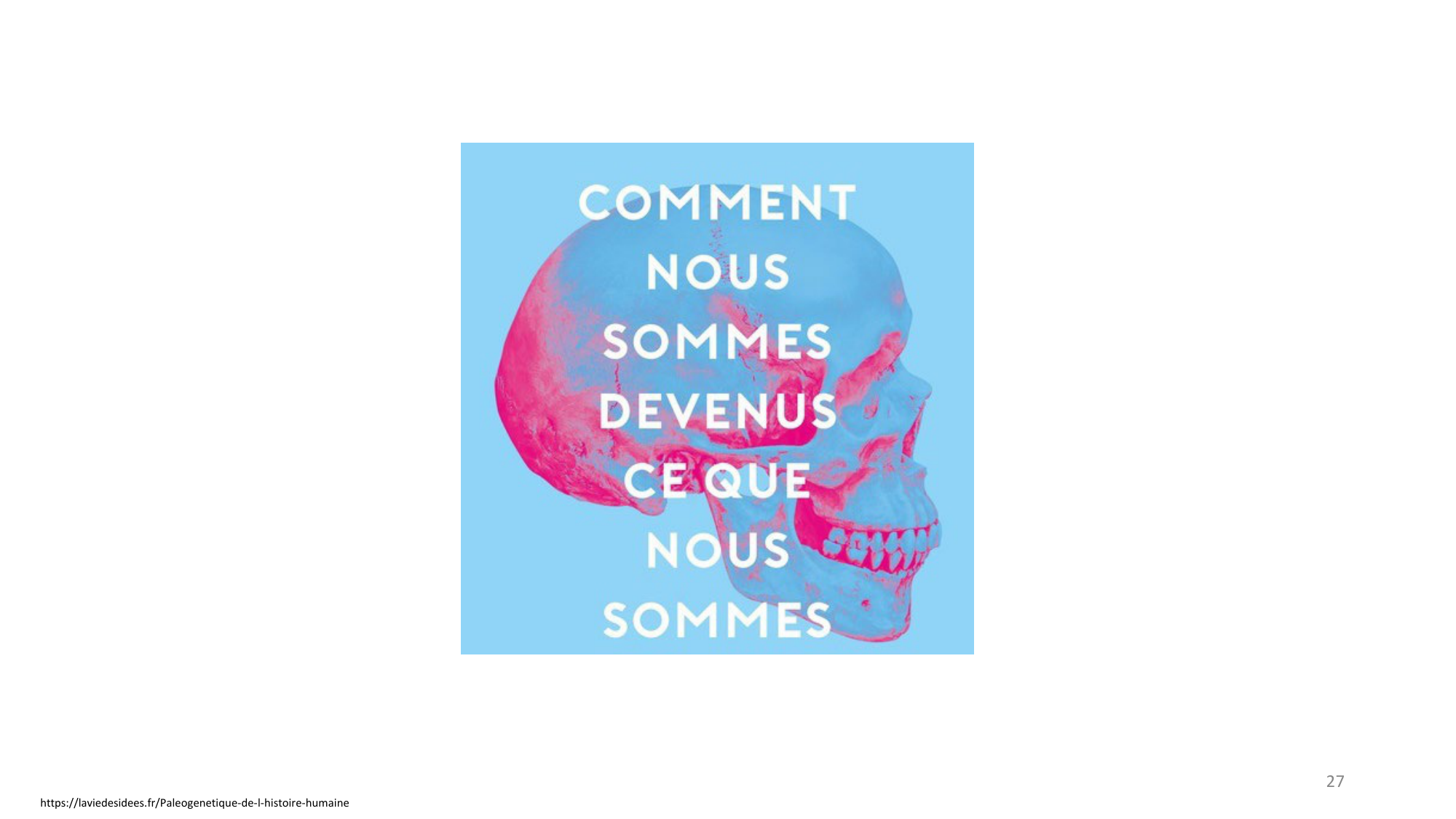 Génétique humaine — session 4 page 27