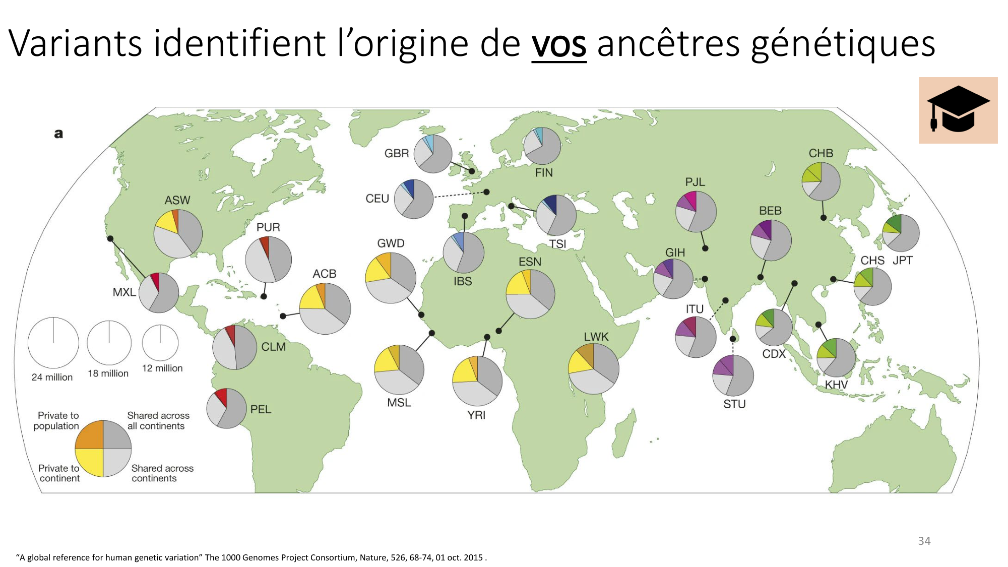 Génétique humaine — session 4 page 34