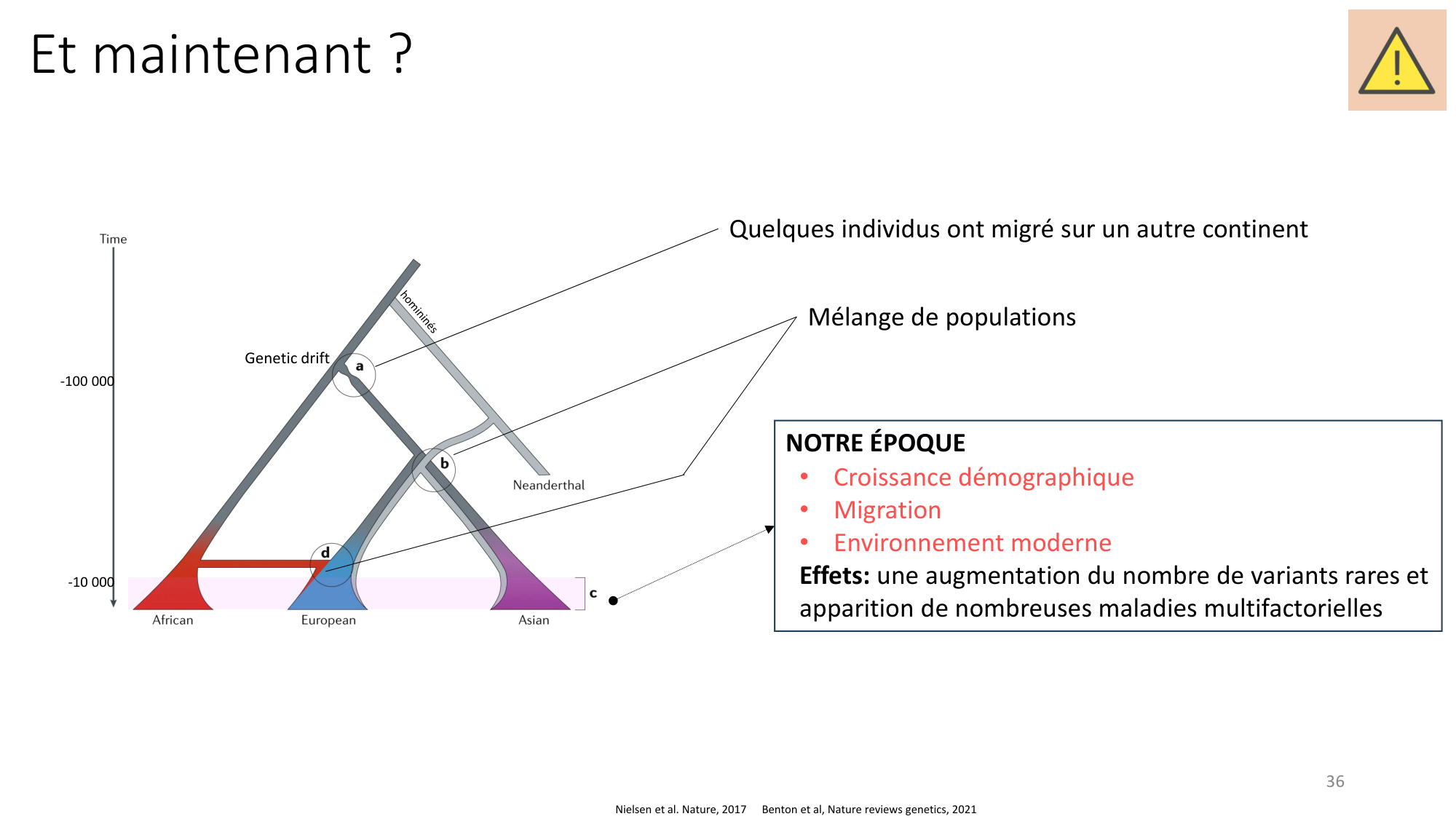 Génétique humaine — session 4 page 36