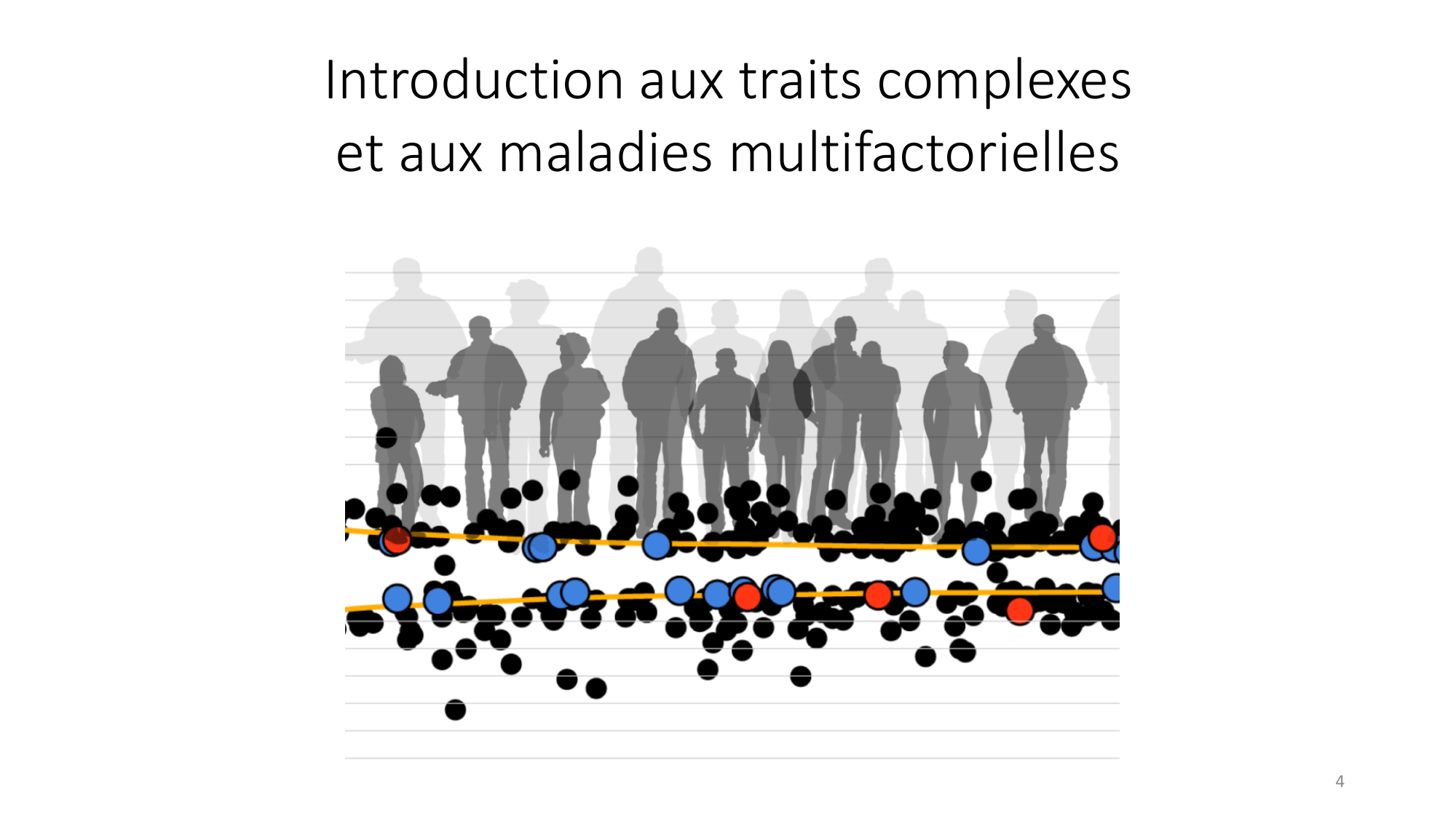 Génétique humaine — session 7 page 4