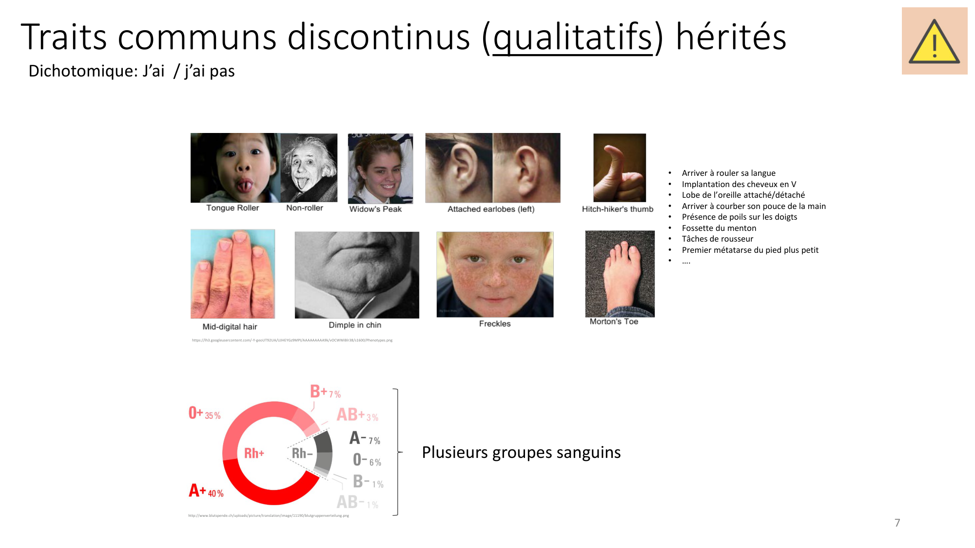 Génétique humaine — session 7 page 7