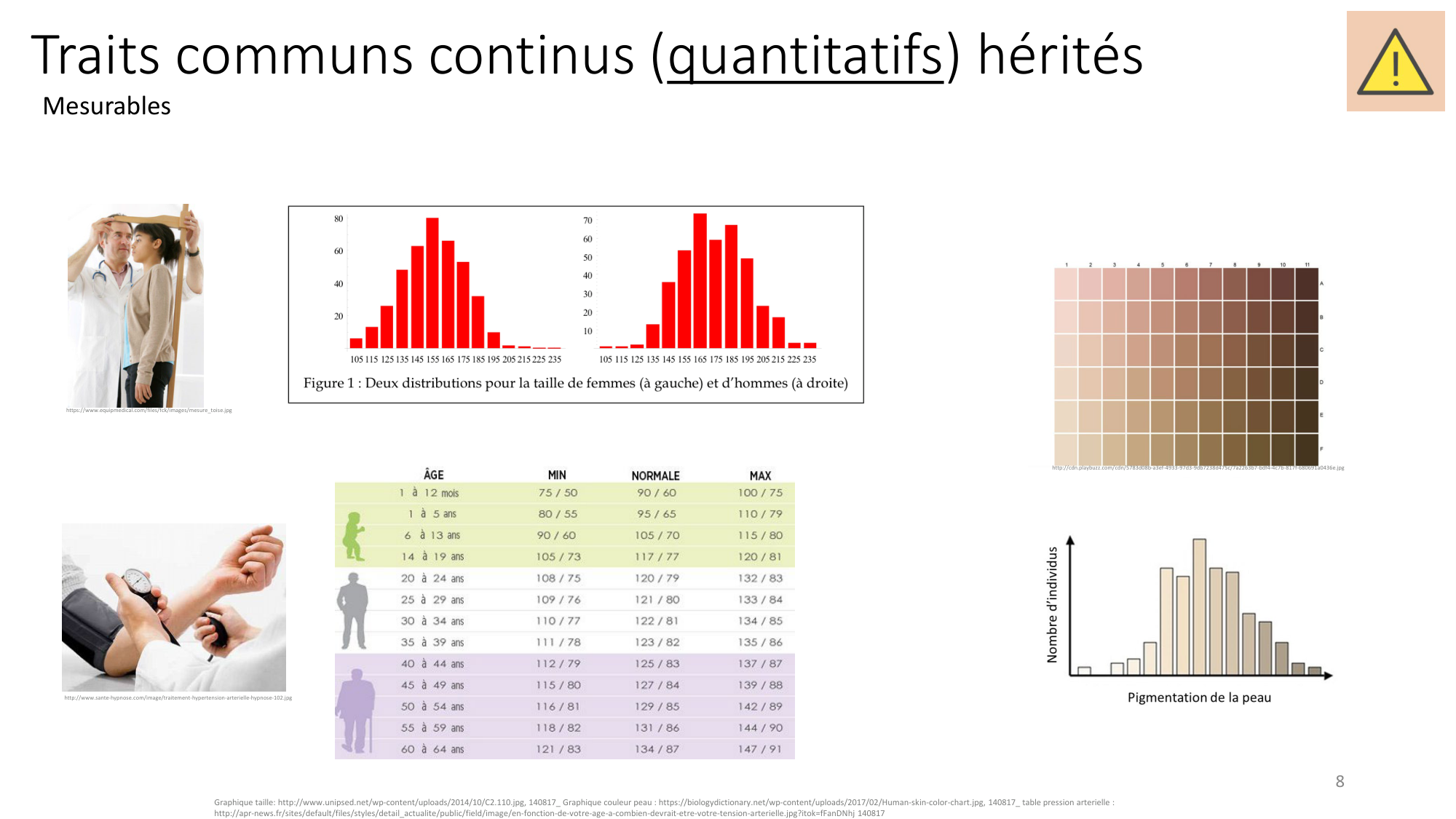 Génétique humaine — session 7 page 8