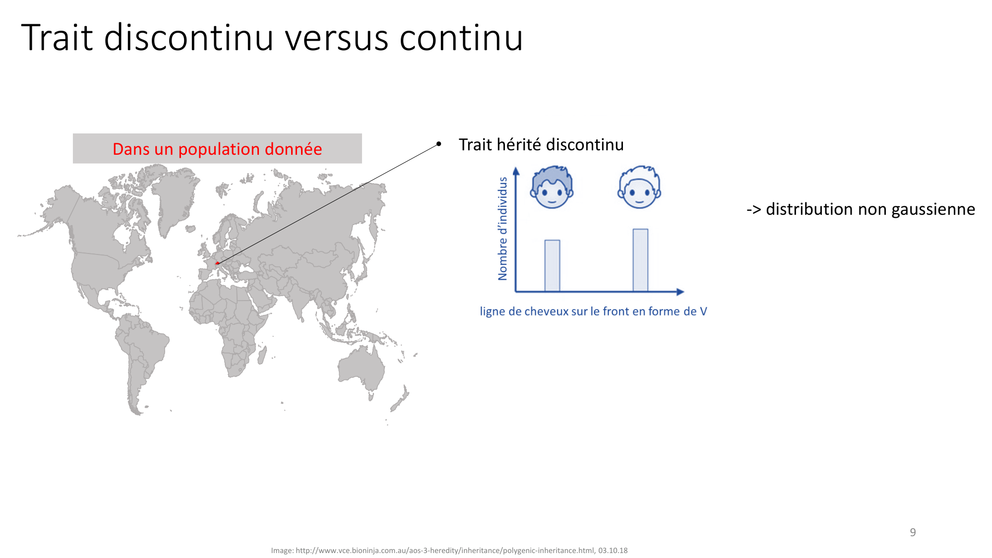Génétique humaine — session 7 page 9