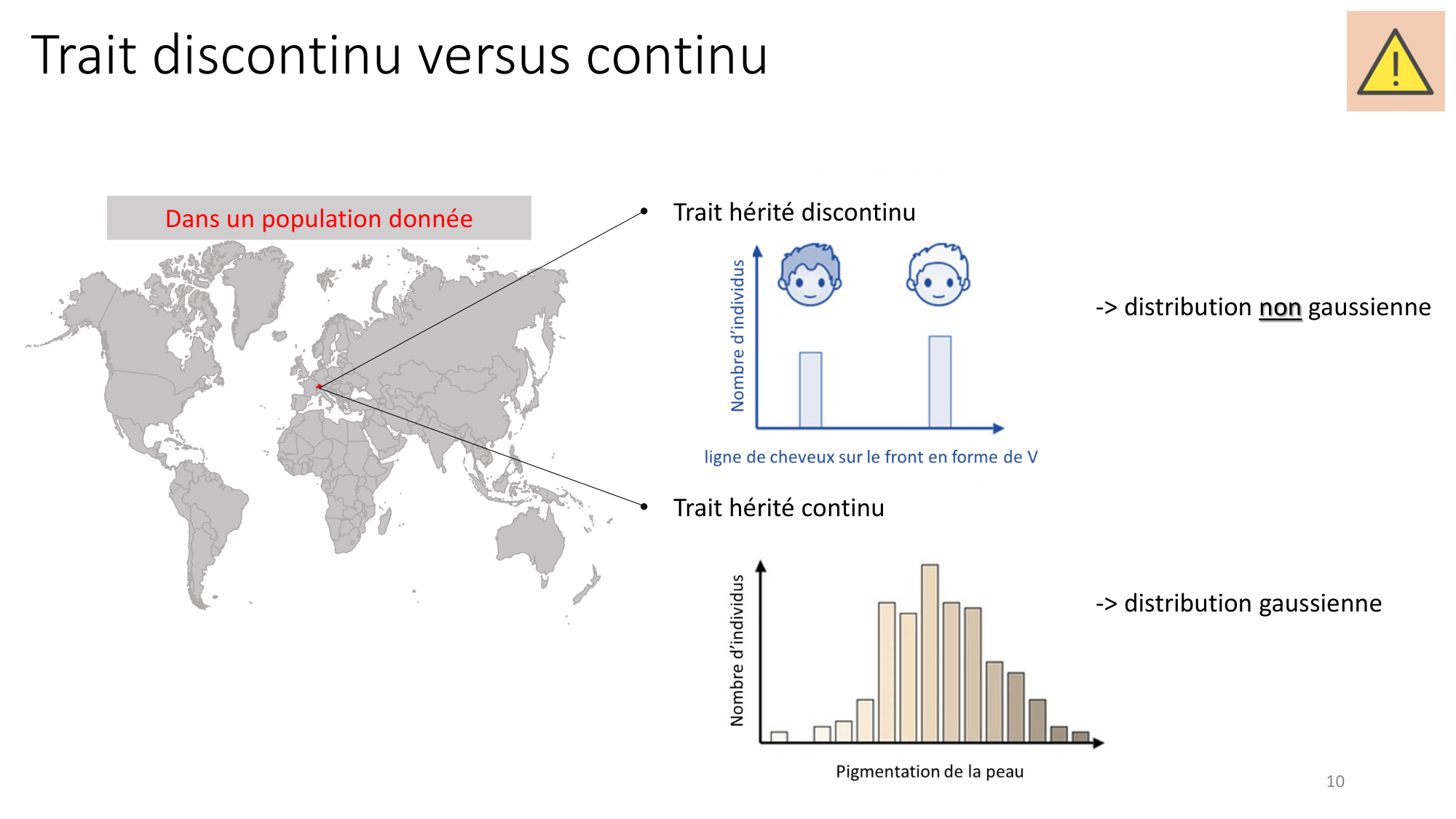 Génétique humaine — session 7 page 10