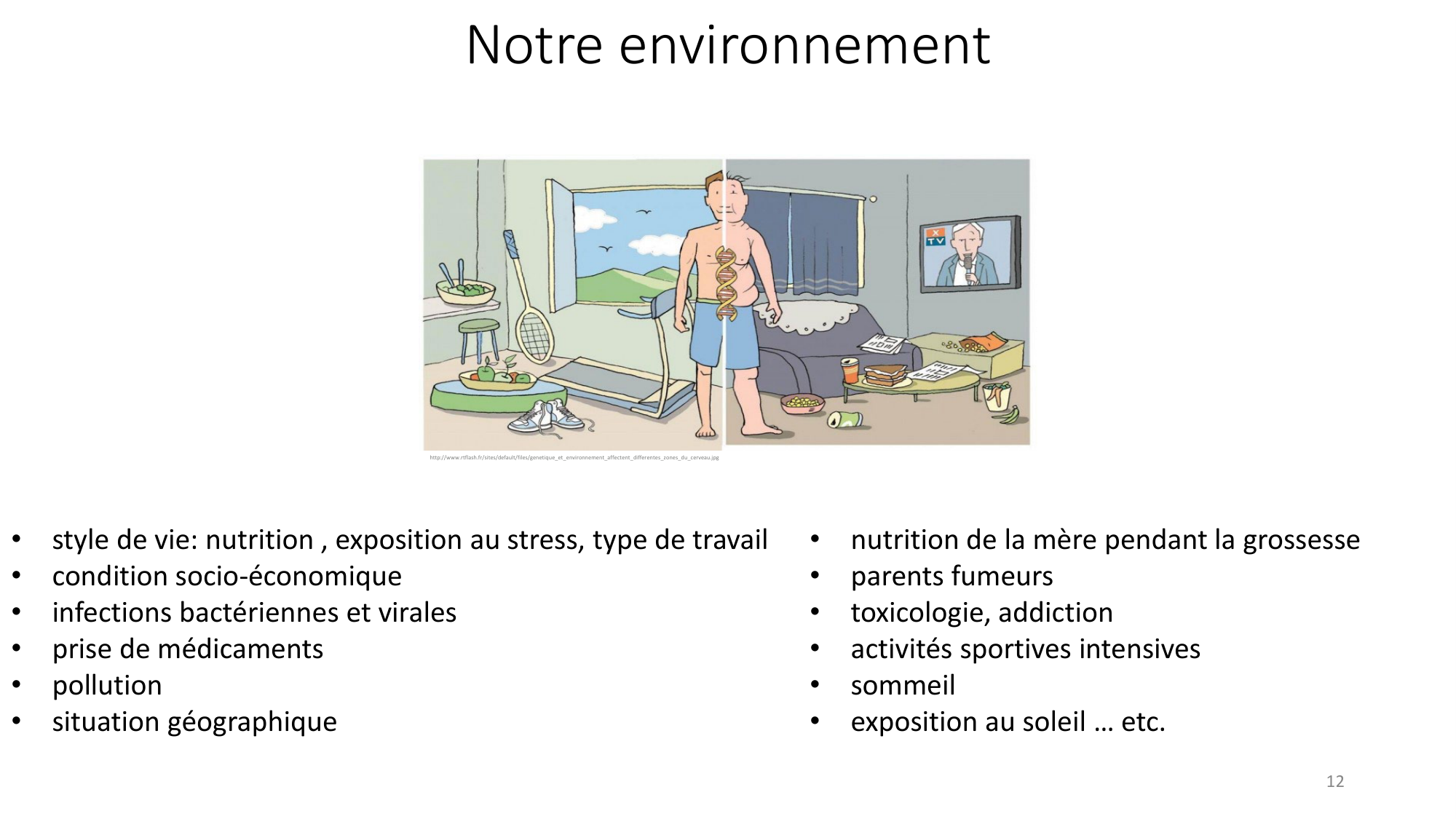 Génétique humaine — session 7 page 12