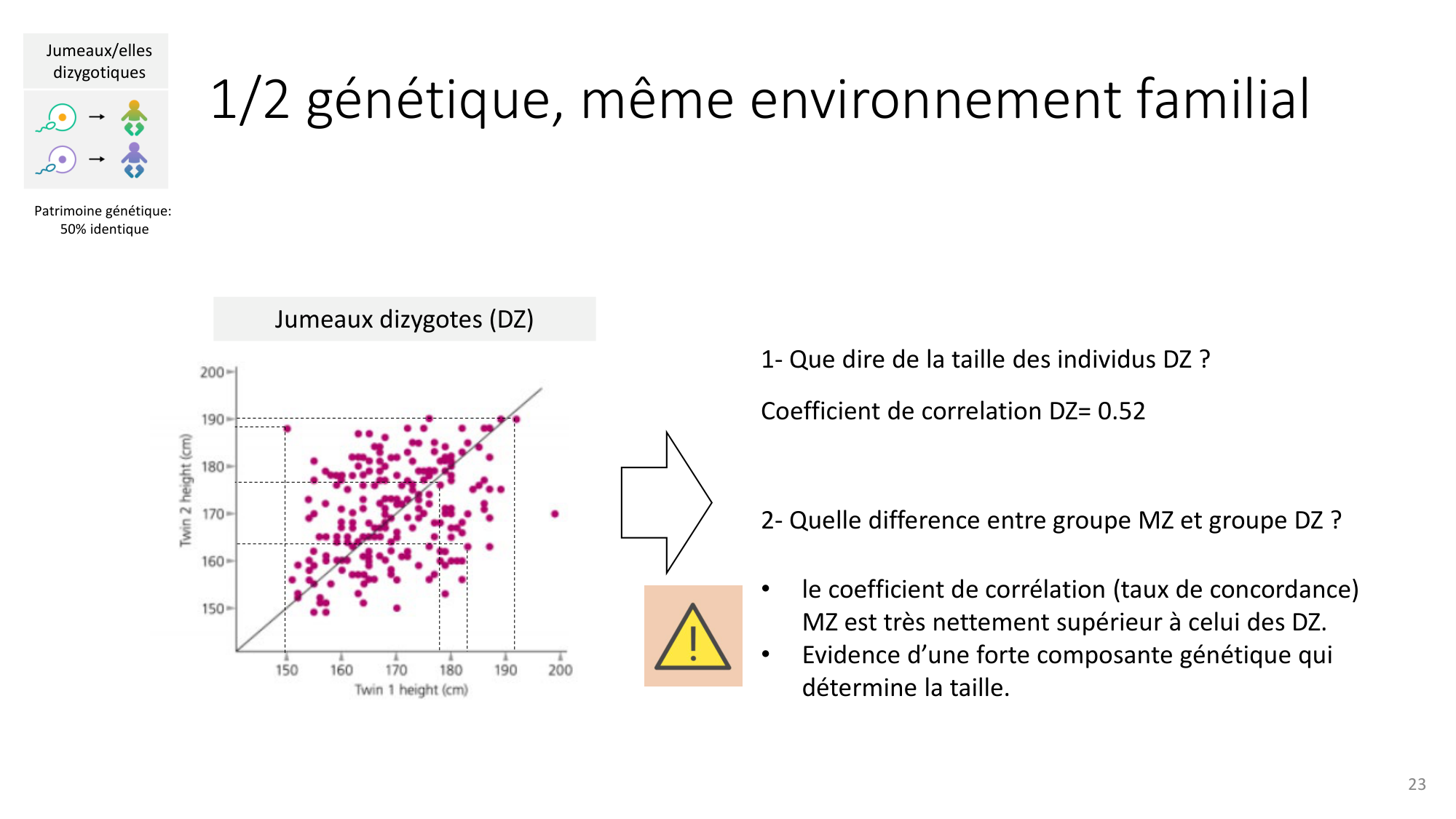 Génétique humaine — session 7 page 23