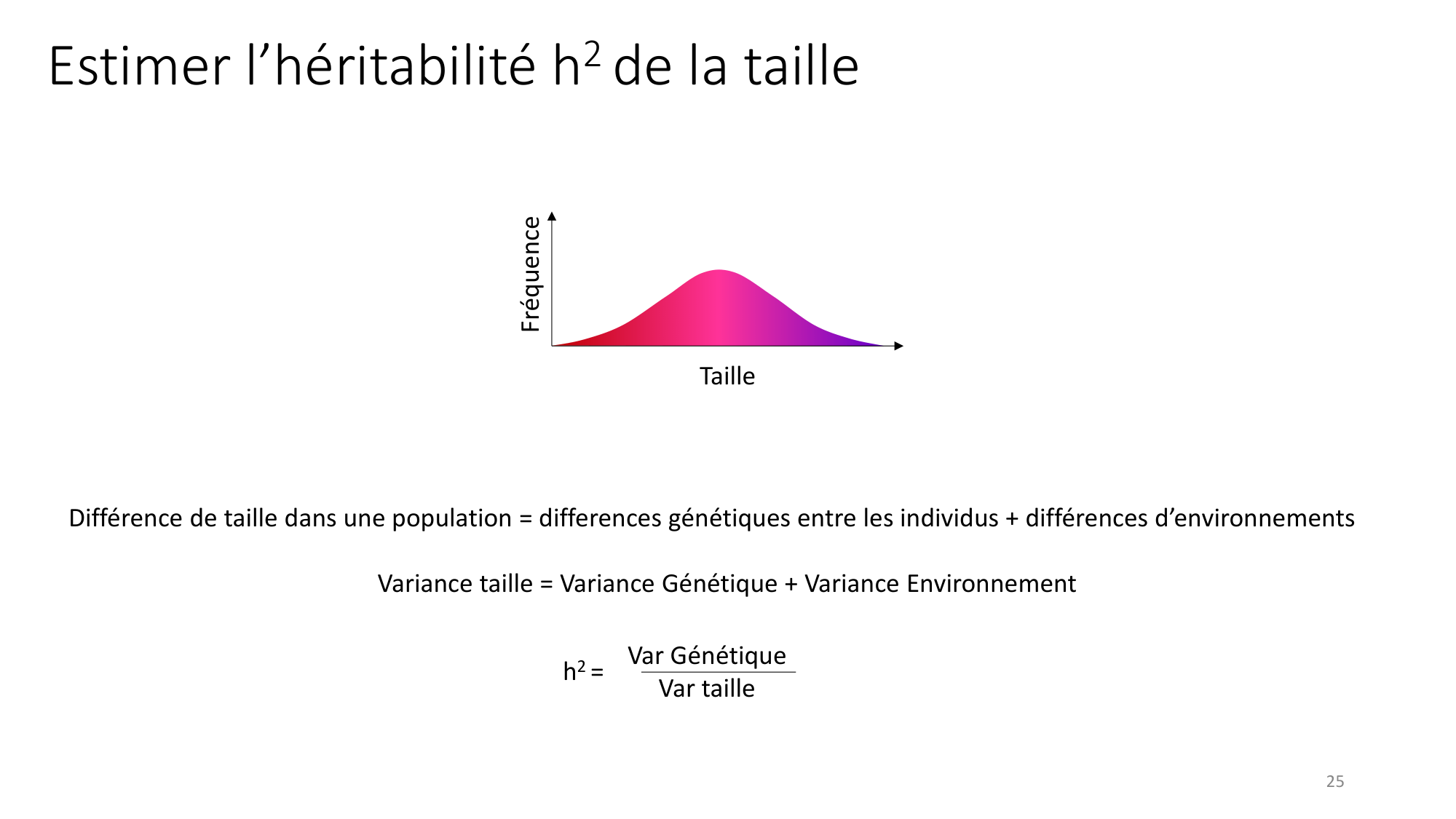 Génétique humaine — session 7 page 25