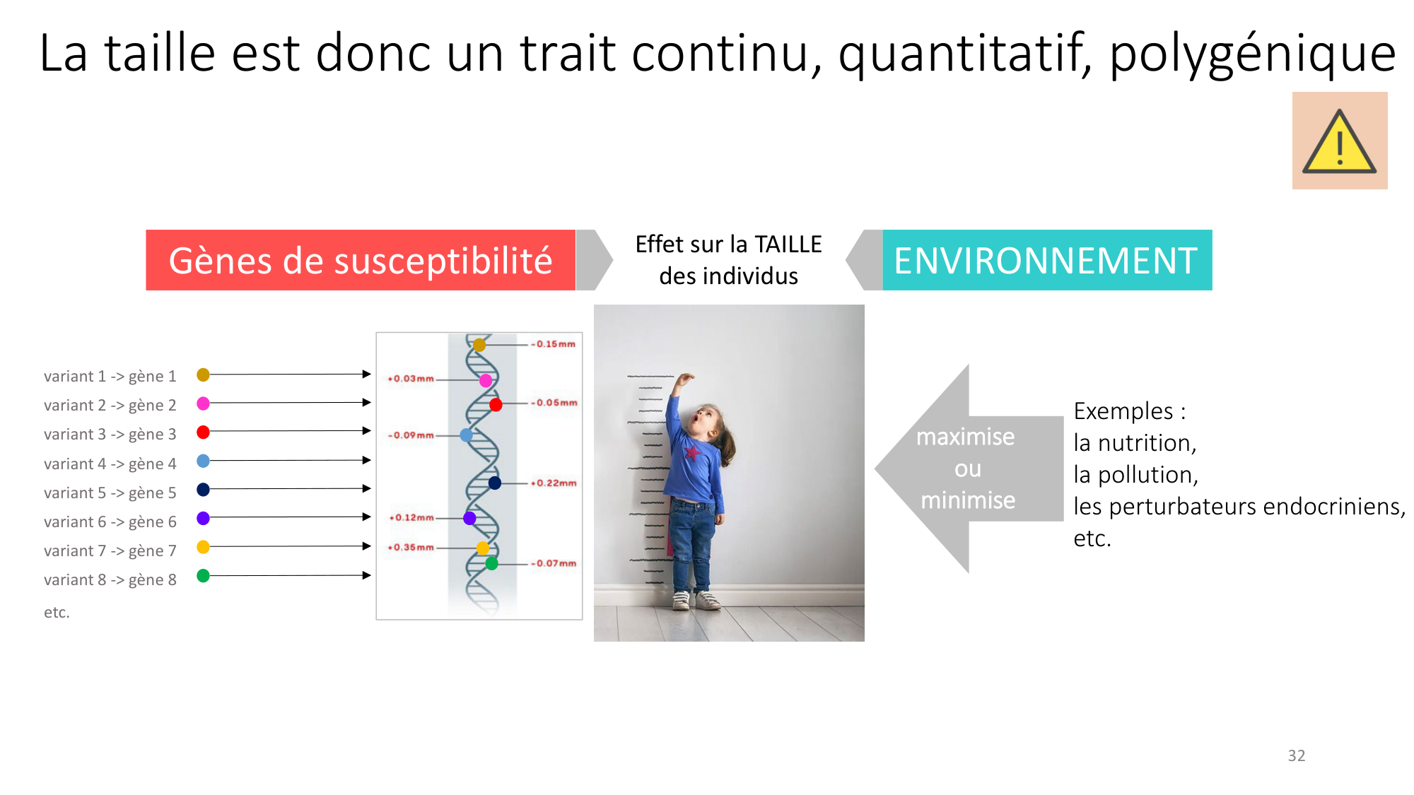 Génétique humaine — session 7 page 32