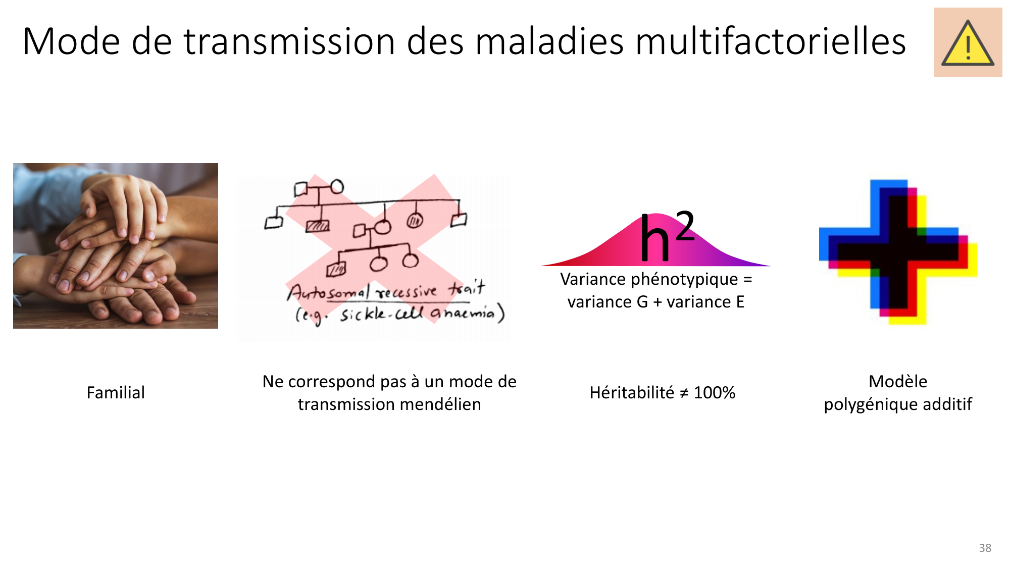 Génétique humaine — session 7 page 38