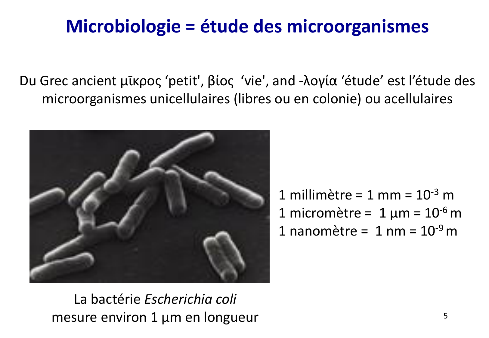 Introduction à la microbiologie — diapositives page 5