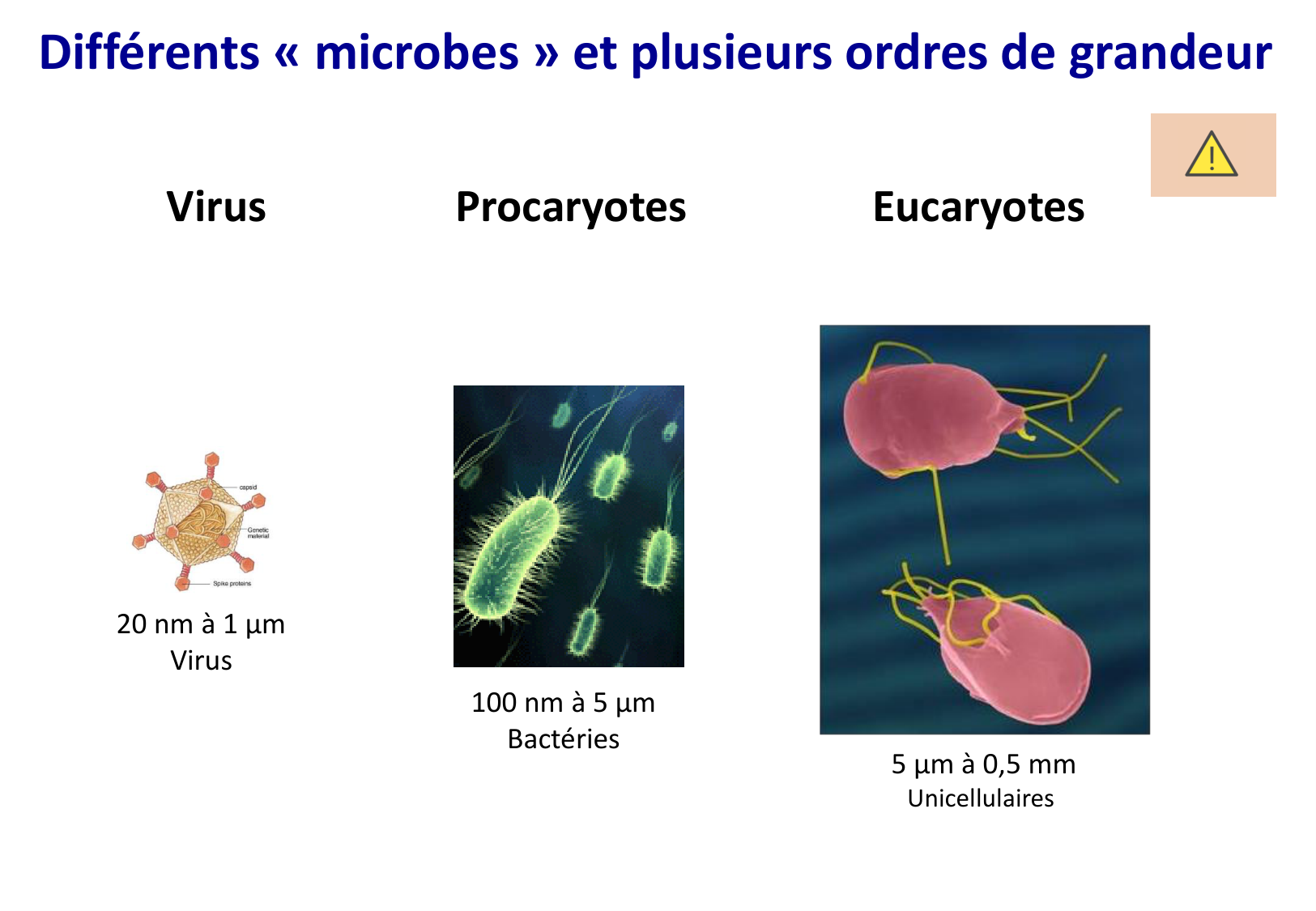 Introduction à la microbiologie — diapositives page 6