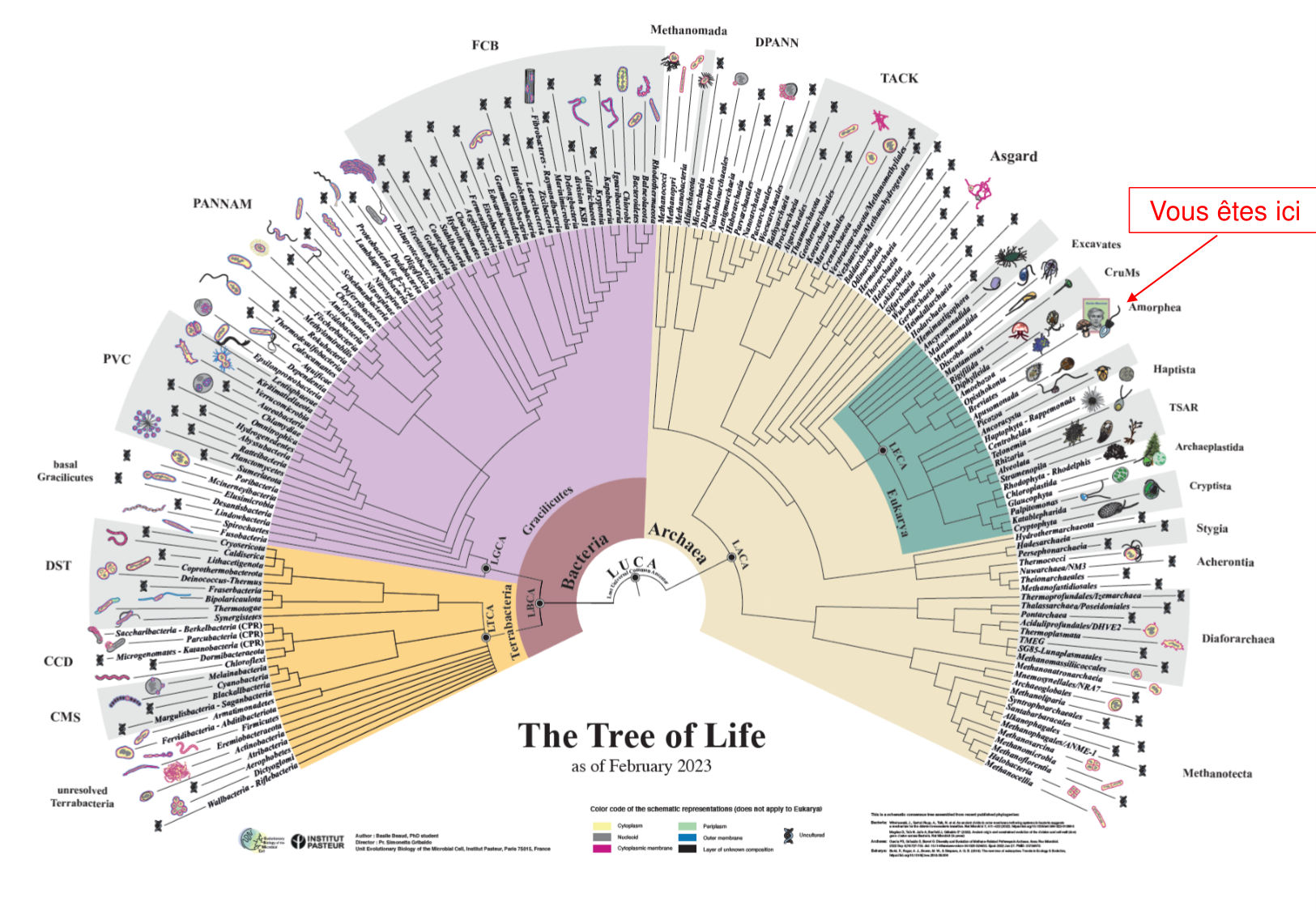 Introduction à la microbiologie — diapositives page 8