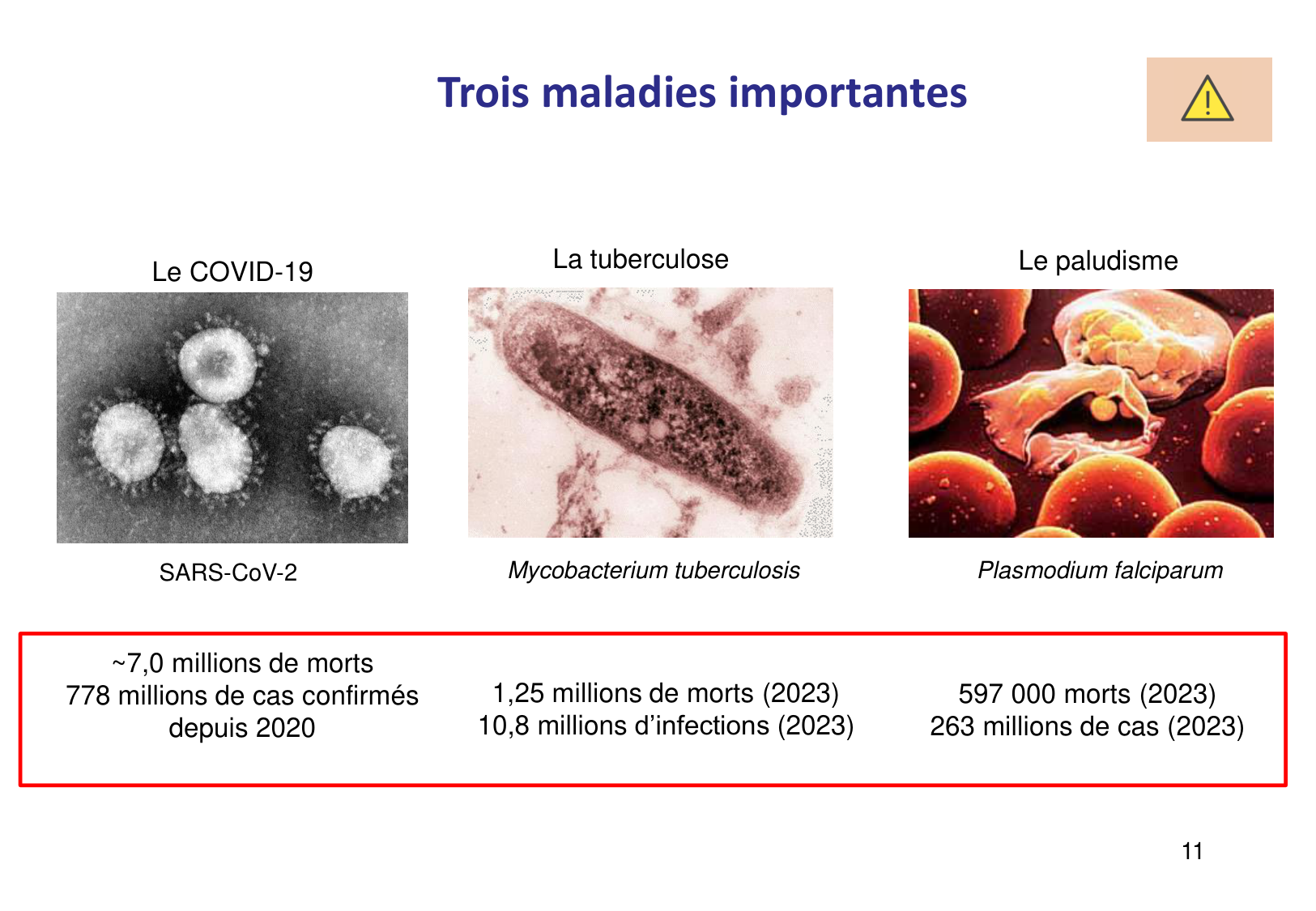 Introduction à la microbiologie — diapositives page 11
