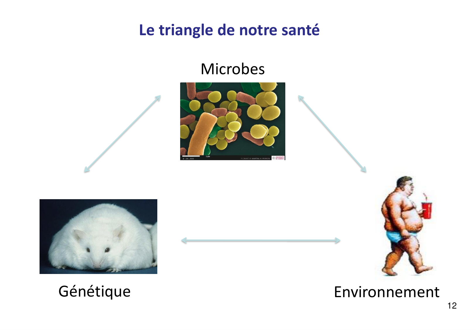 Introduction à la microbiologie — diapositives page 12