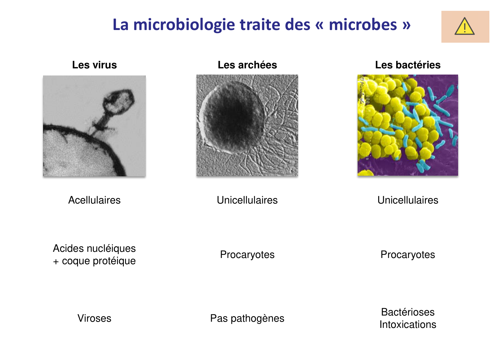 Introduction à la microbiologie — diapositives page 14