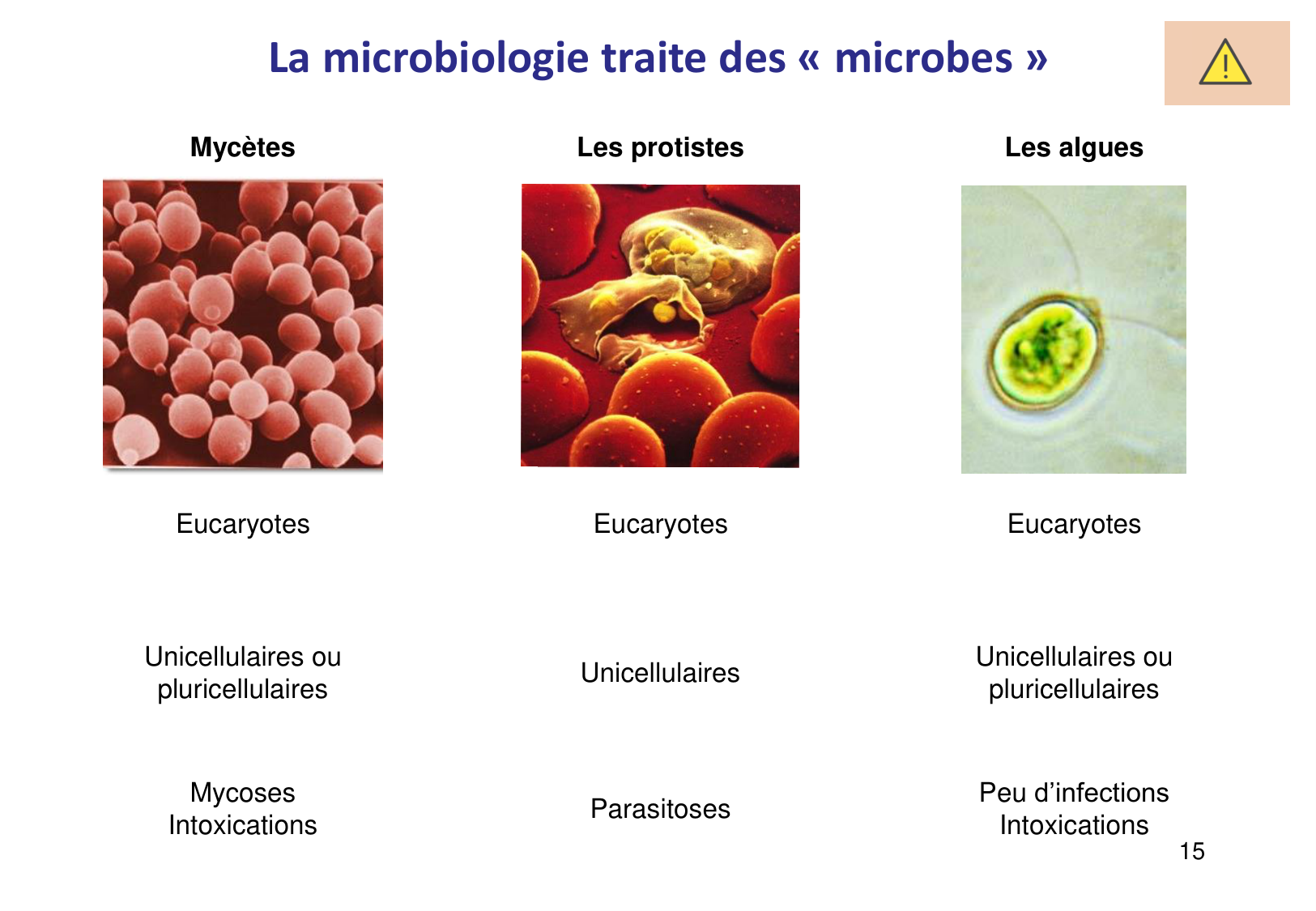 Introduction à la microbiologie — diapositives page 15