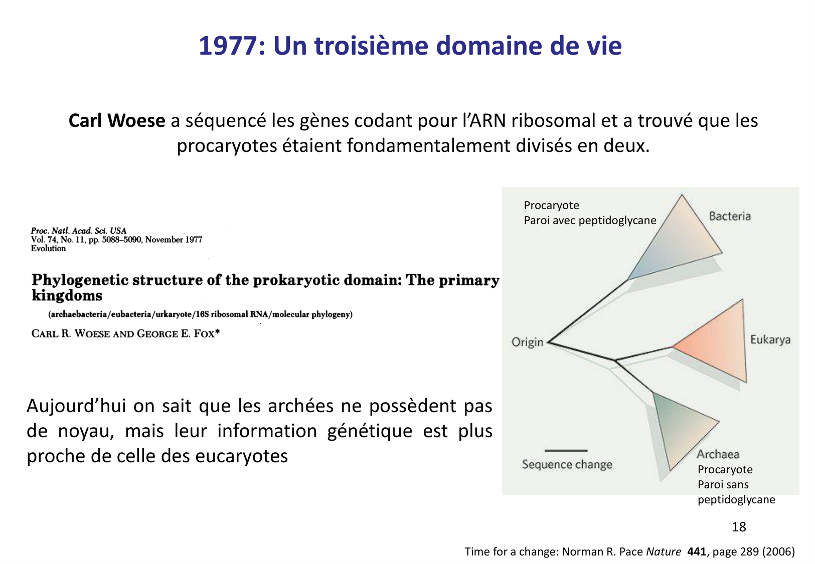 Introduction à la microbiologie — diapositives page 18