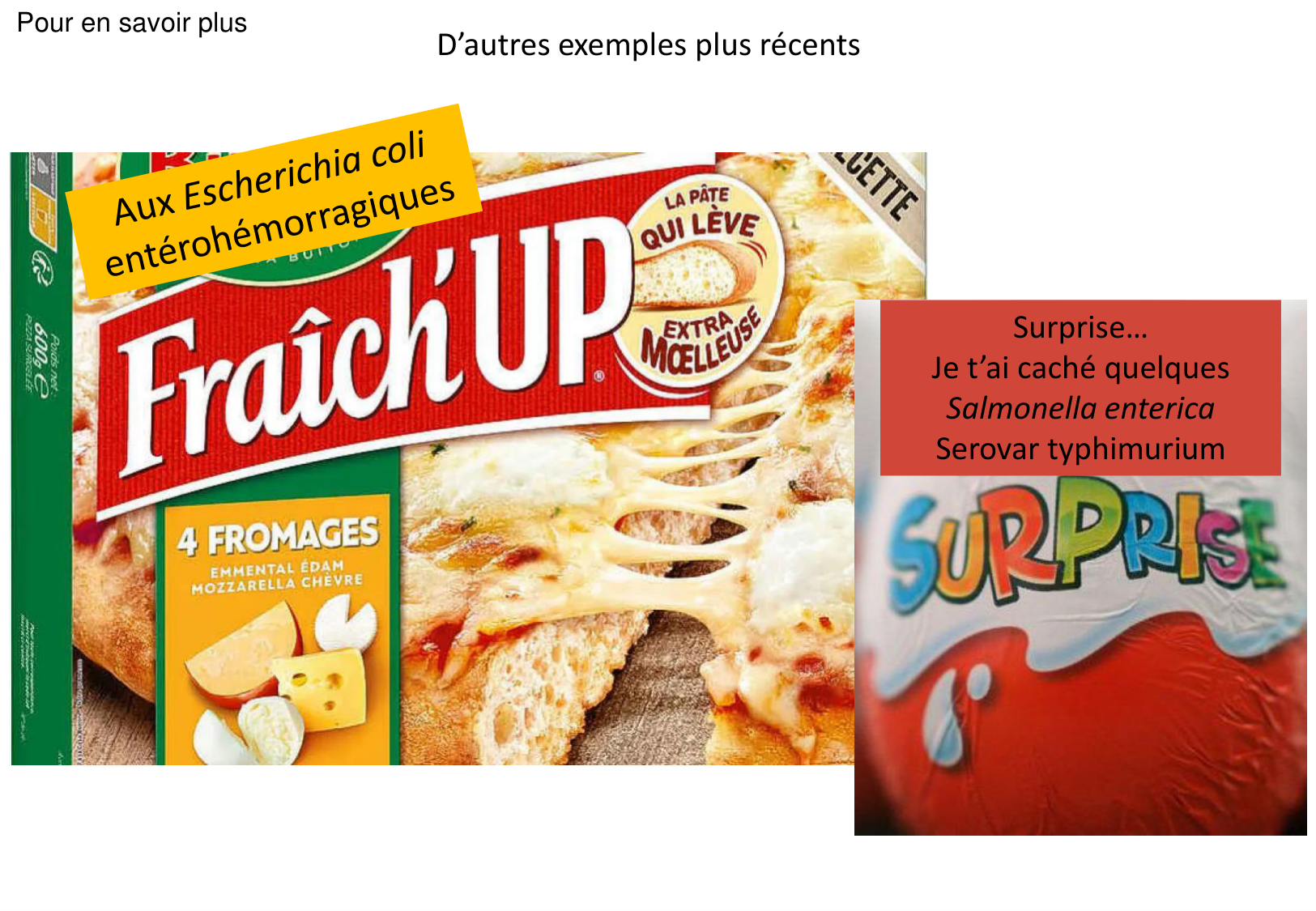 Introduction à la microbiologie — diapositives page 25