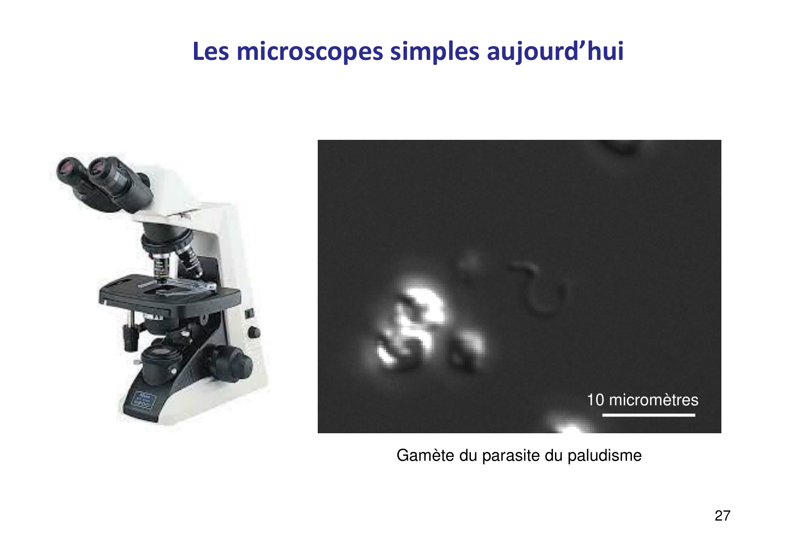 Introduction à la microbiologie — diapositives page 27