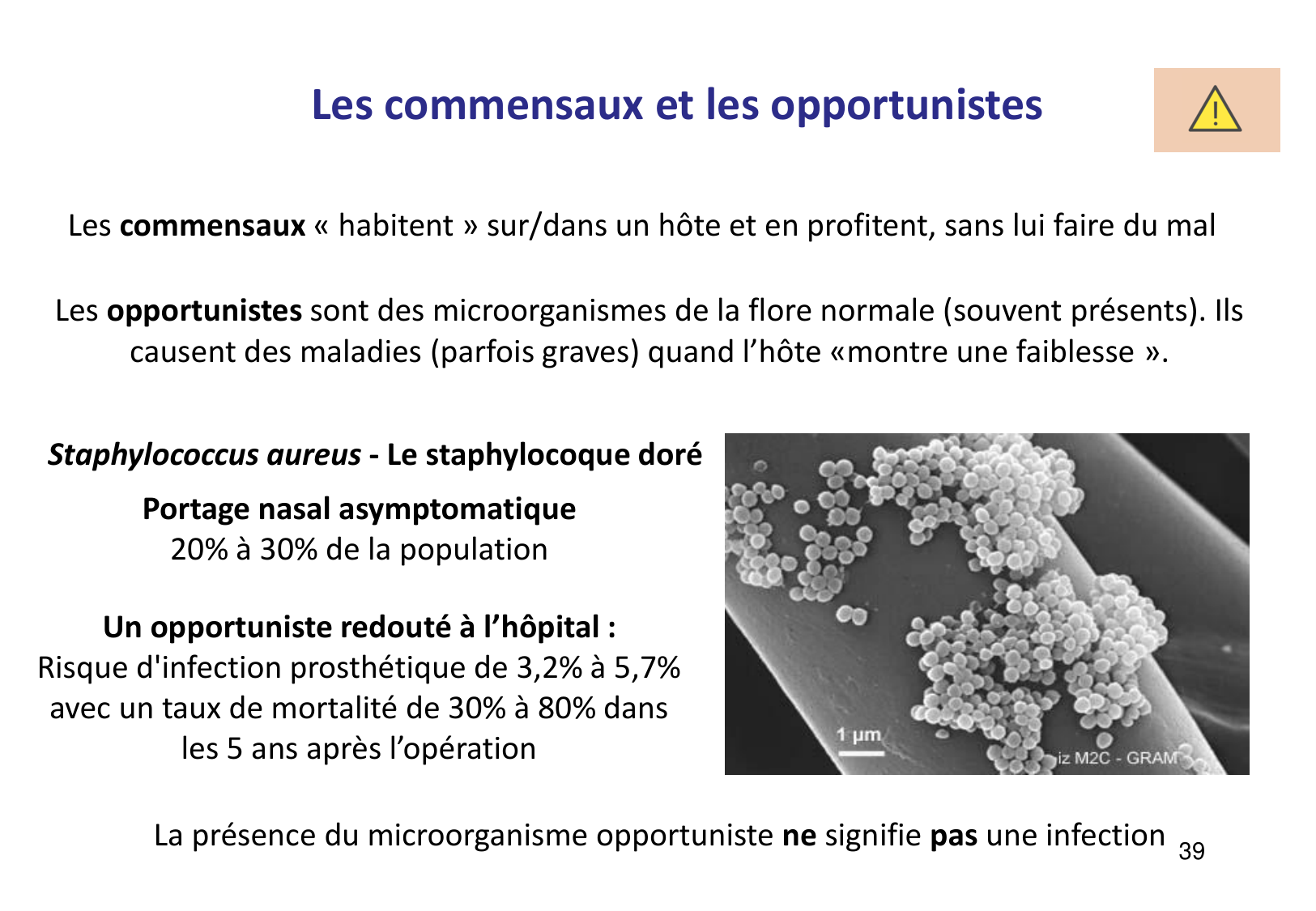 Introduction à la microbiologie — diapositives page 39
