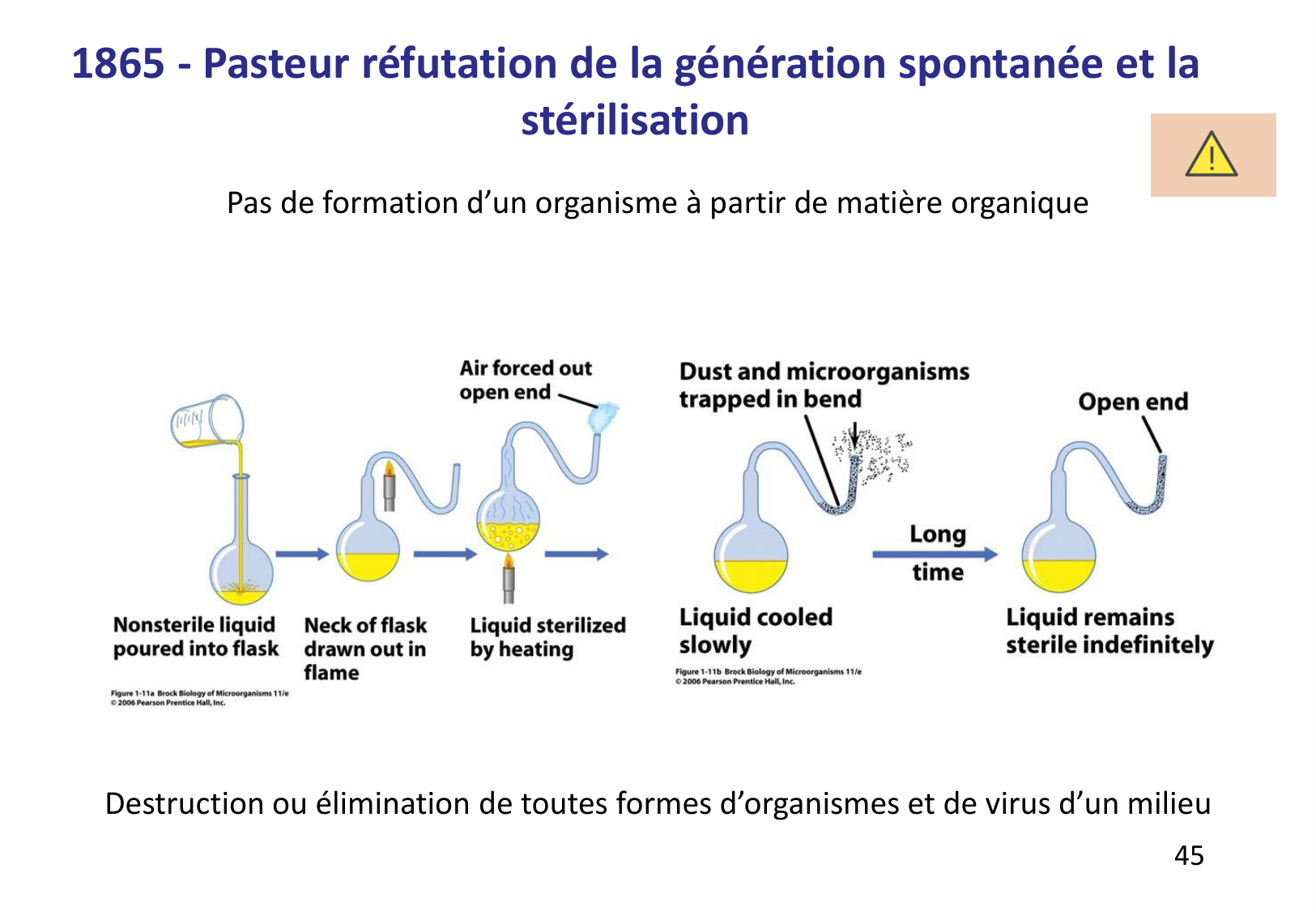 Introduction à la microbiologie — diapositives page 45