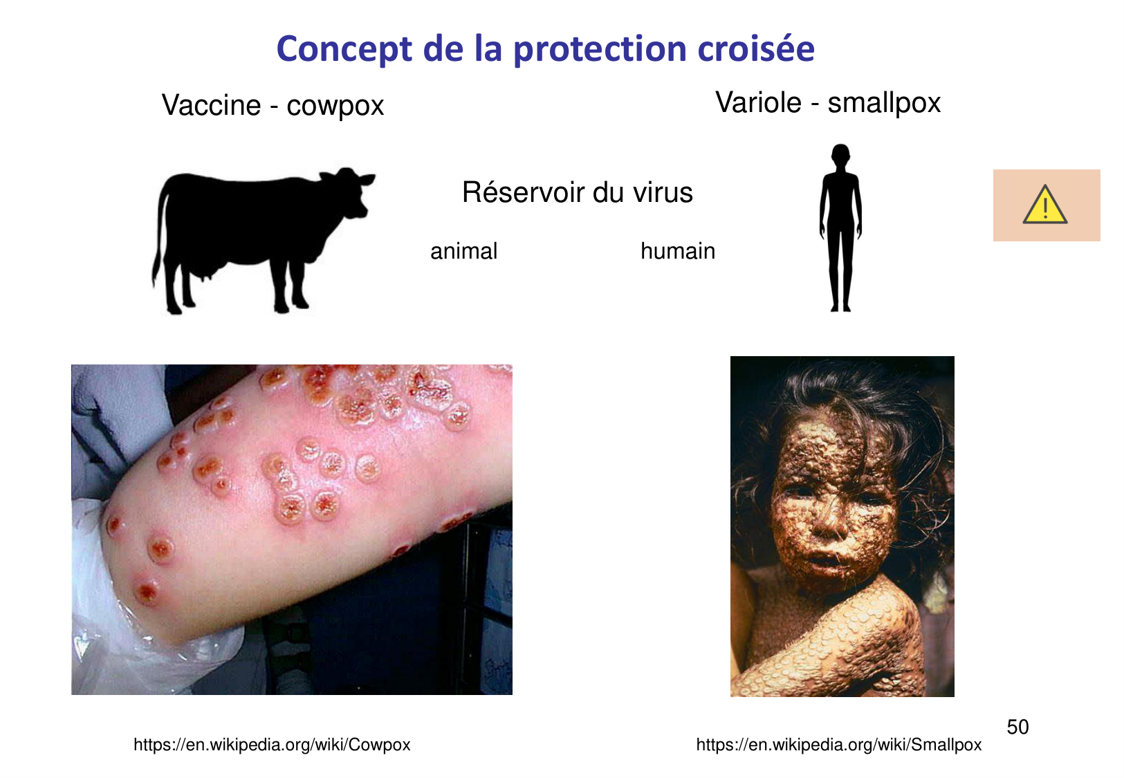 Introduction à la microbiologie — diapositives page 50