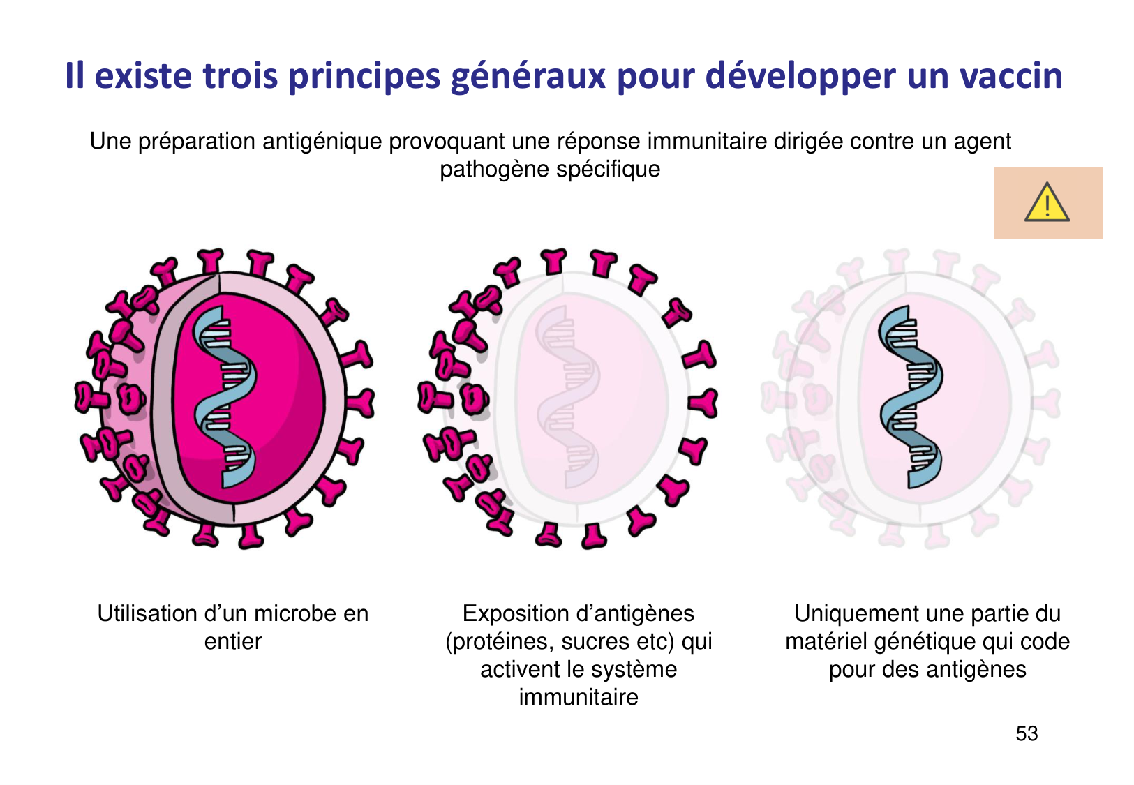 Introduction à la microbiologie — diapositives page 53