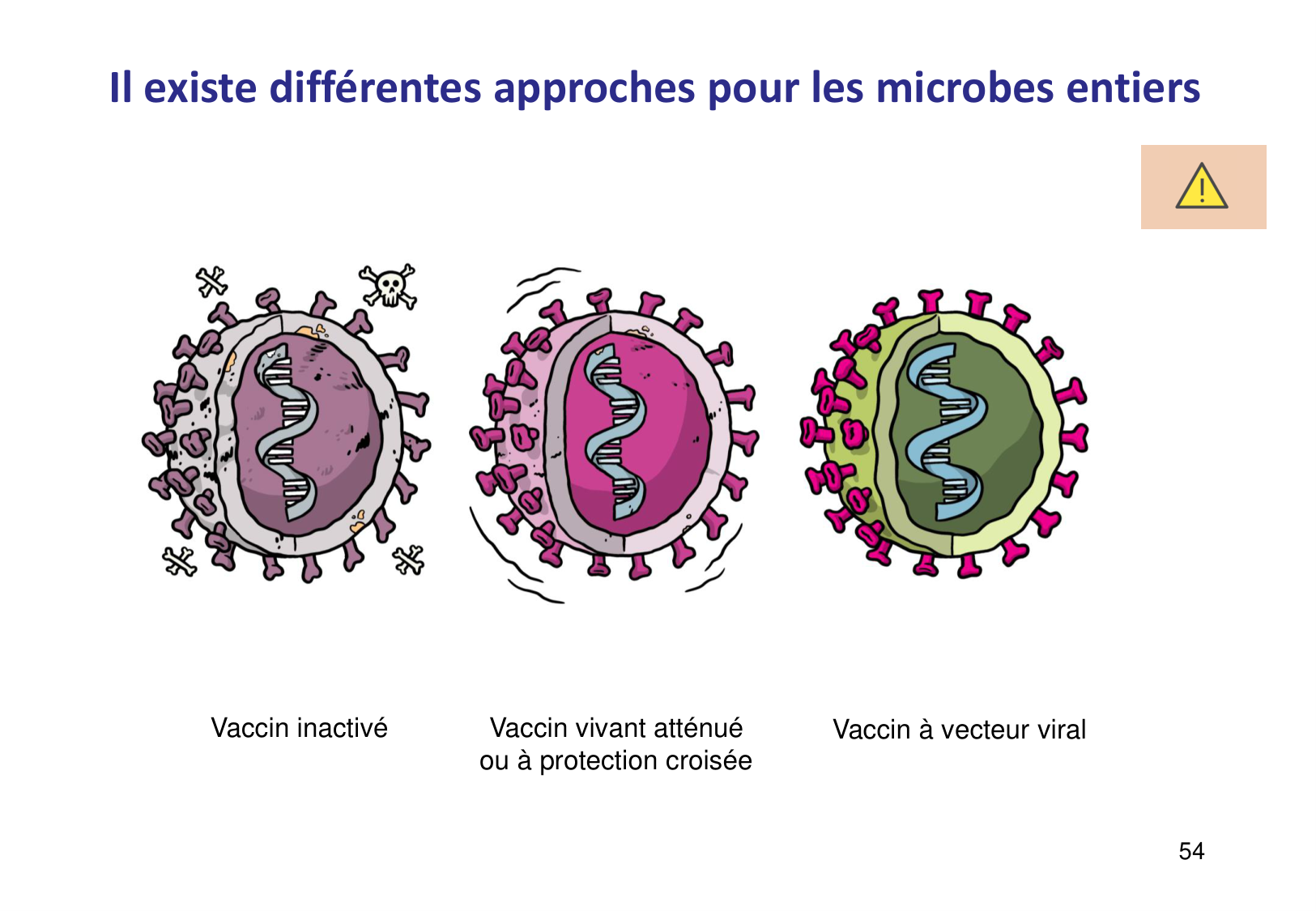 Introduction à la microbiologie — diapositives page 54