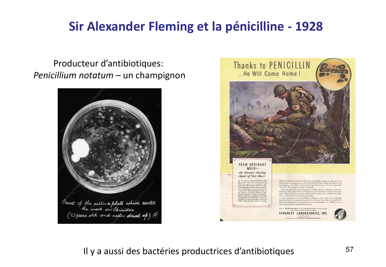 Introduction à la microbiologie — diapositives page 57