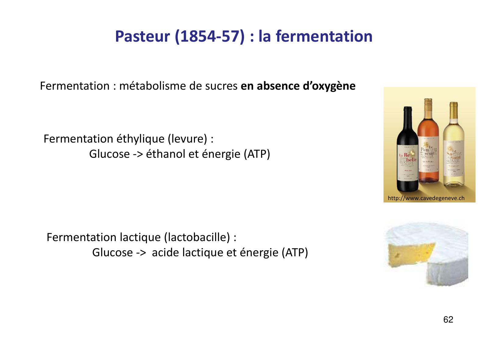 Introduction à la microbiologie — diapositives page 62