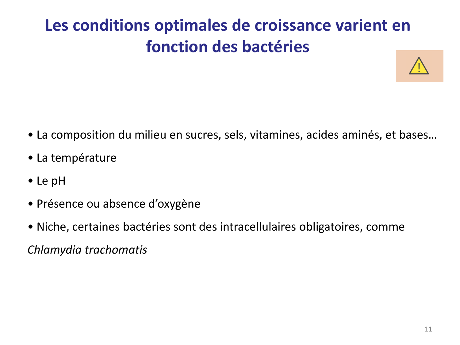 Les bactéries — diapositives page 11