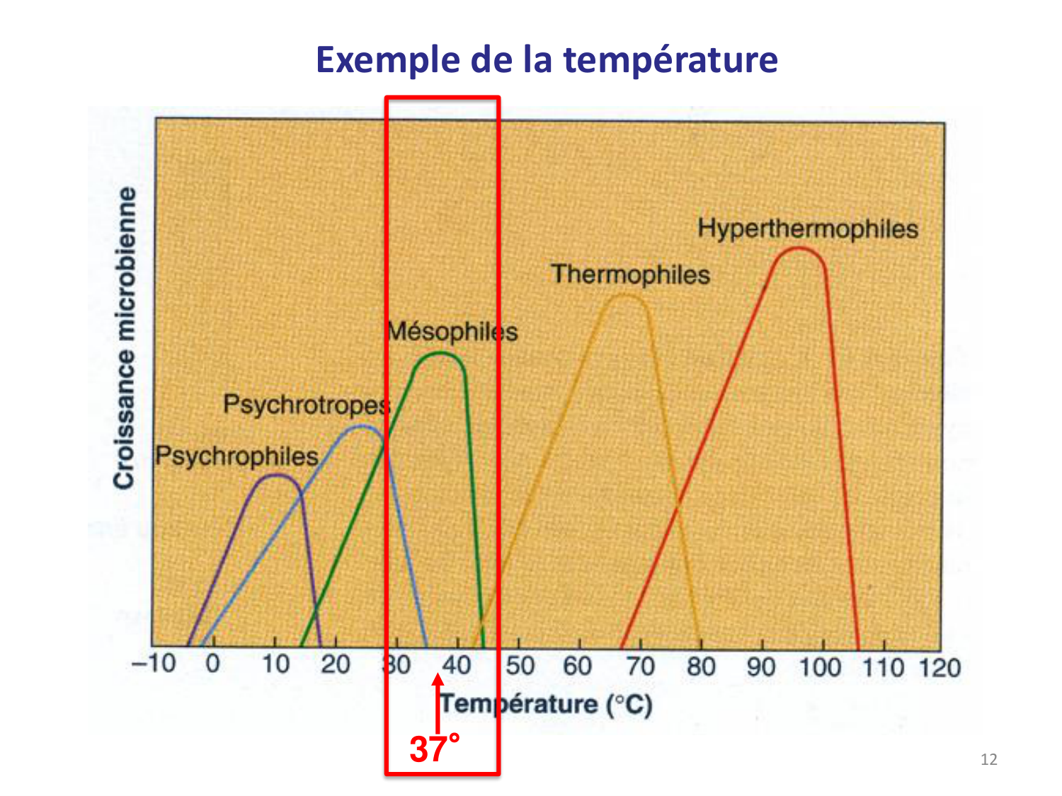 Les bactéries — diapositives page 12