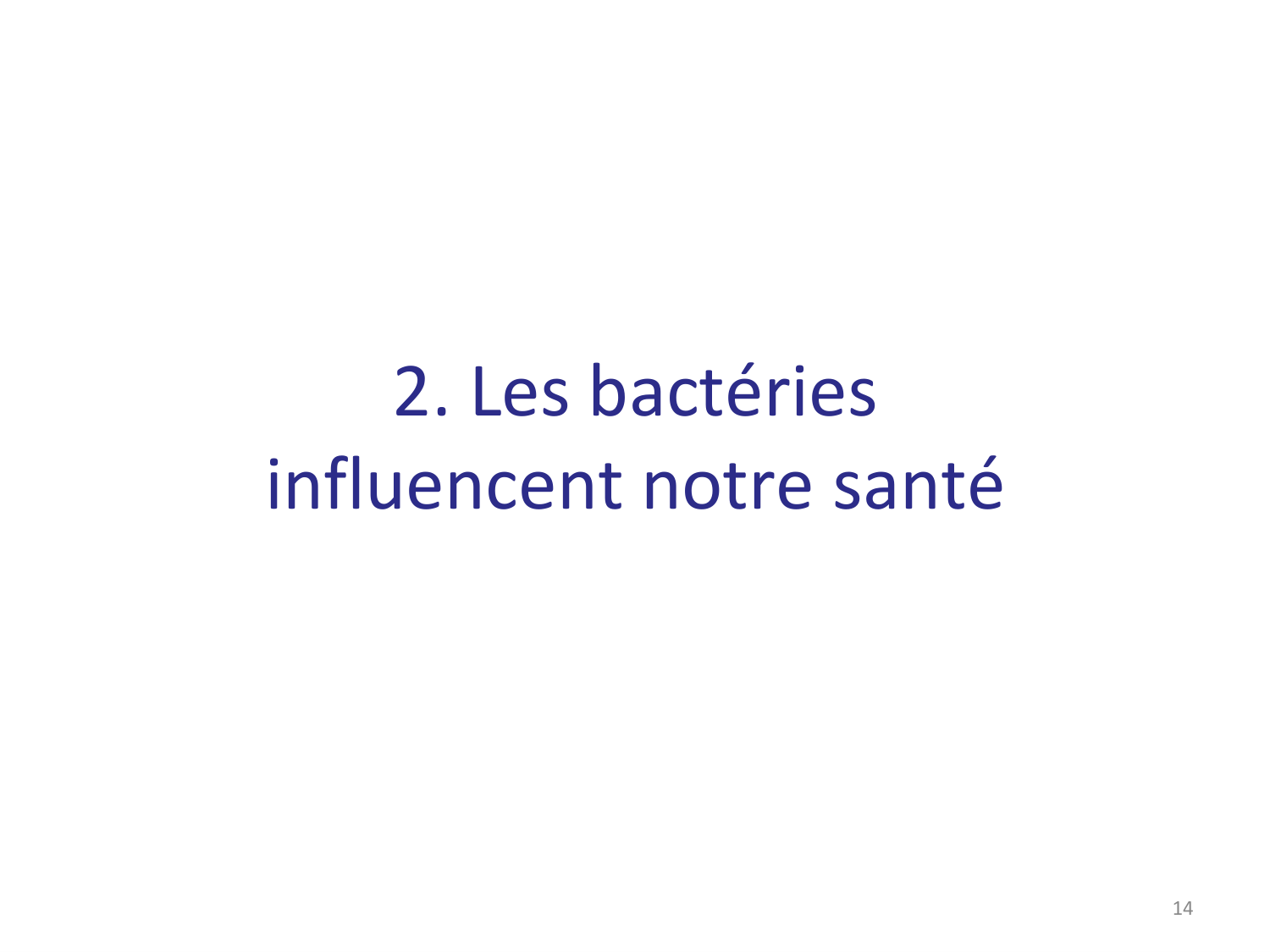 Les bactéries — diapositives page 14