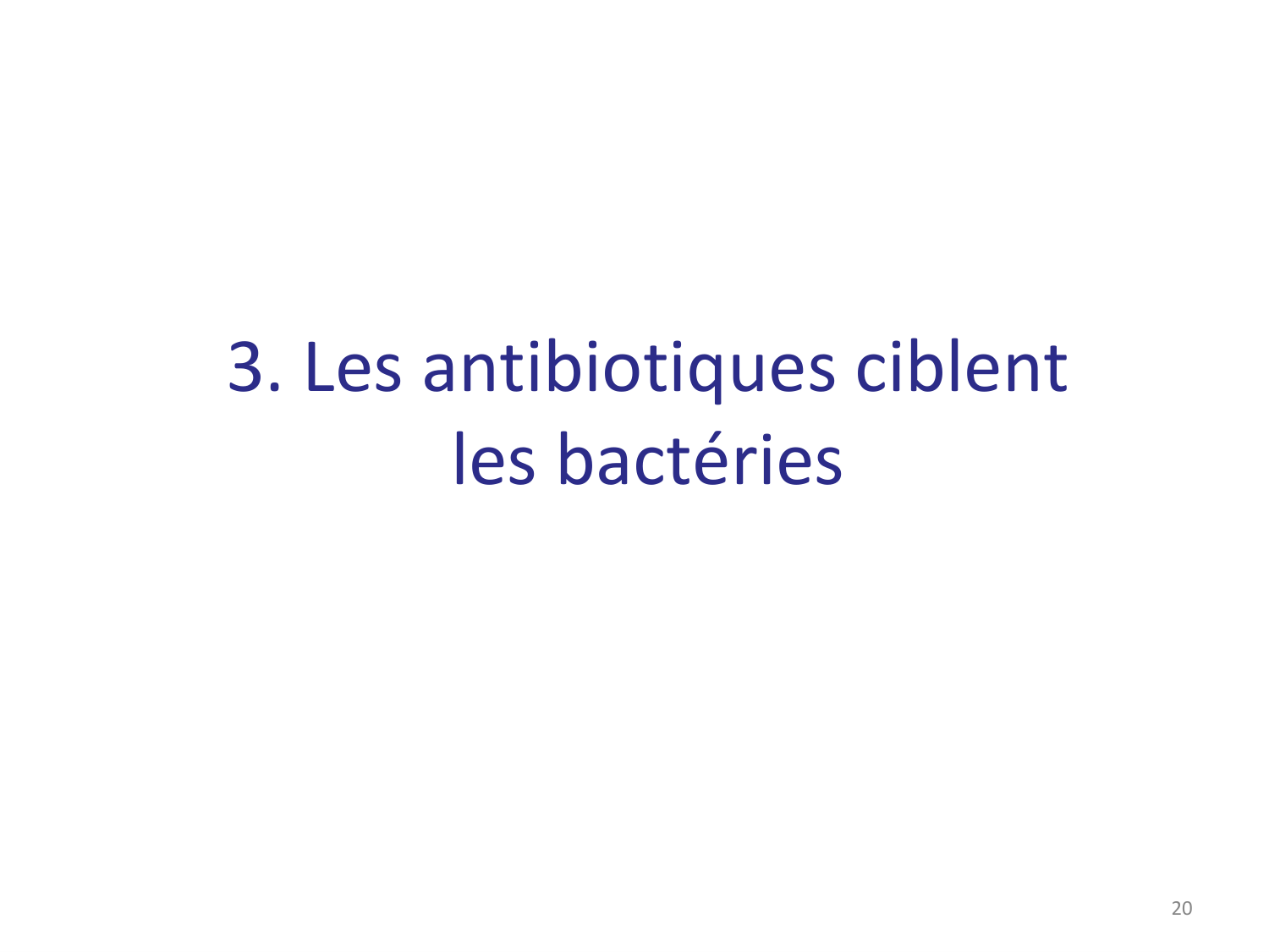 Les bactéries — diapositives page 20