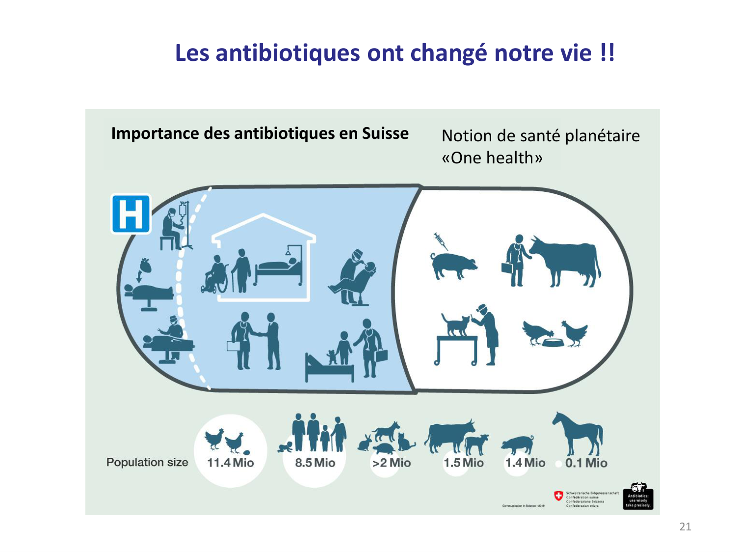 Les bactéries — diapositives page 21