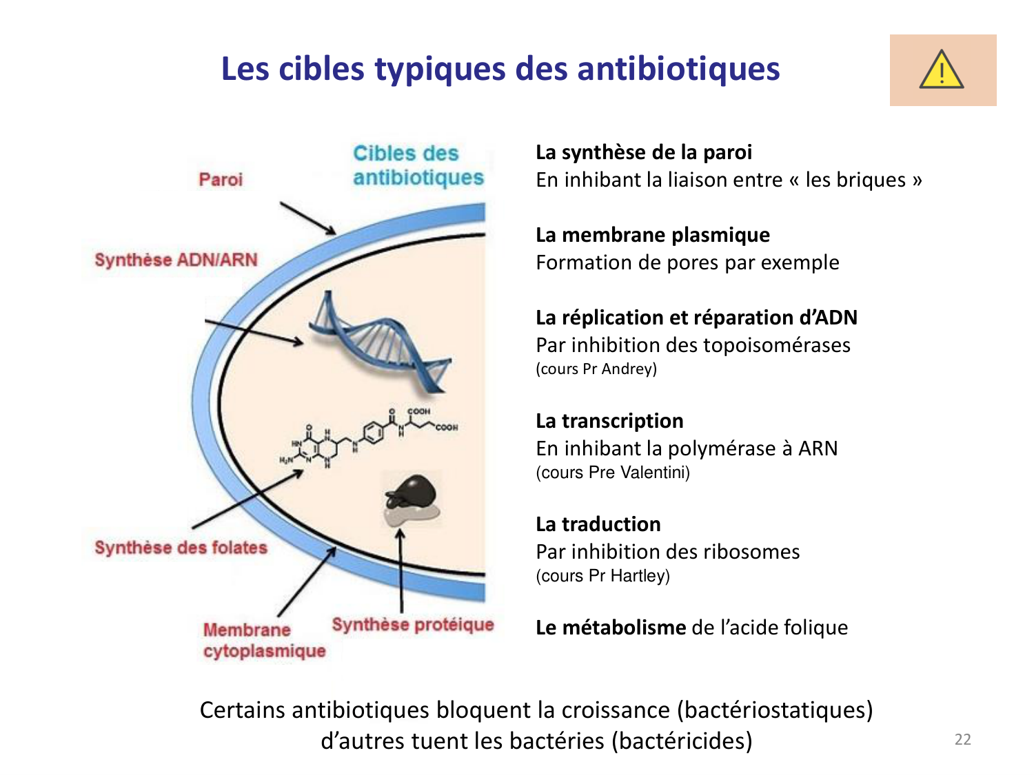 Les bactéries — diapositives page 22